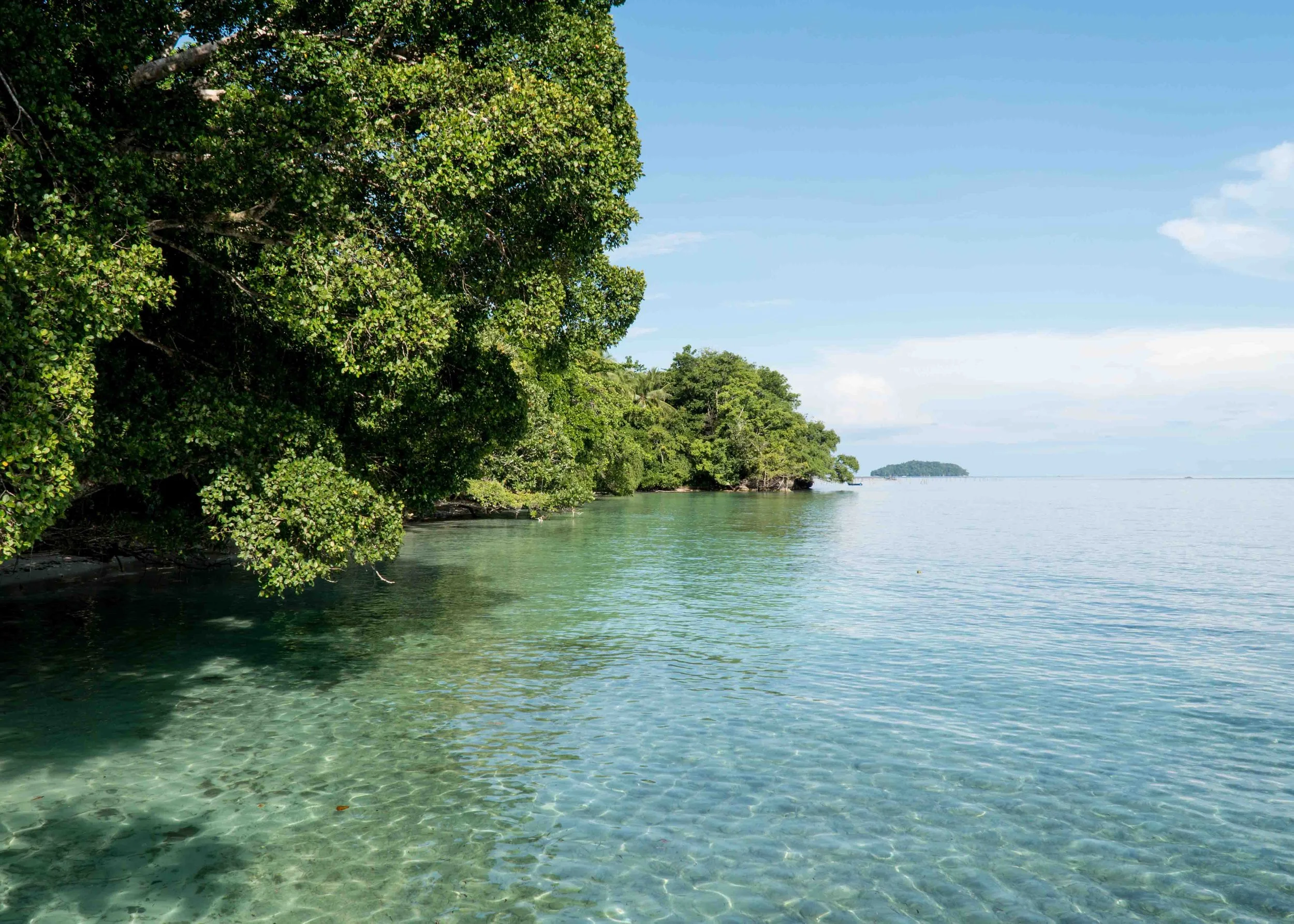 Diving in Indonesia vs the Philippines