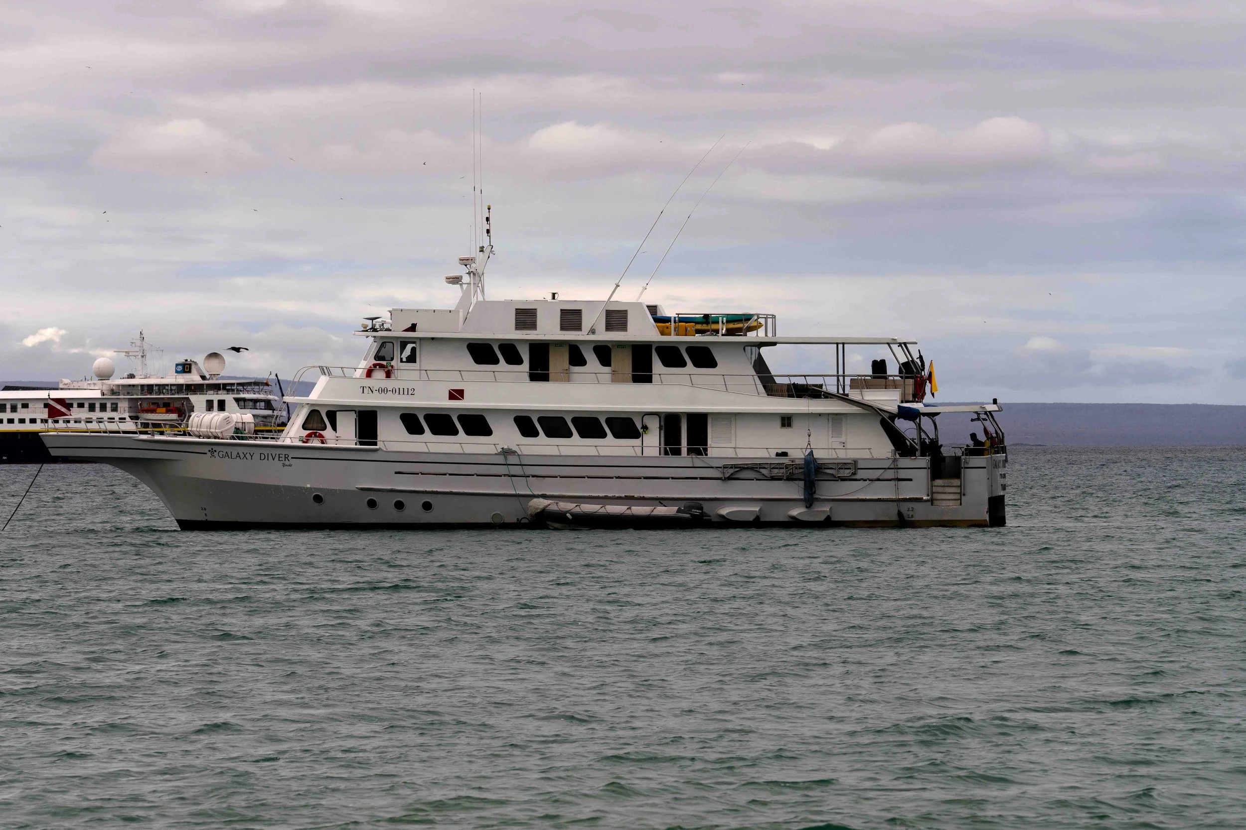 🌊 Dive Insurance vs Travel Insurance