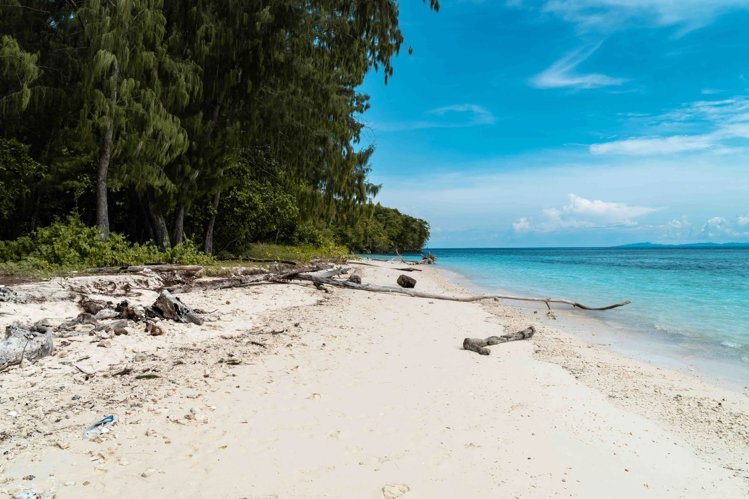 🌊 Raja Ampat Liveaboard vs Resort: Which Is Better for Divers?