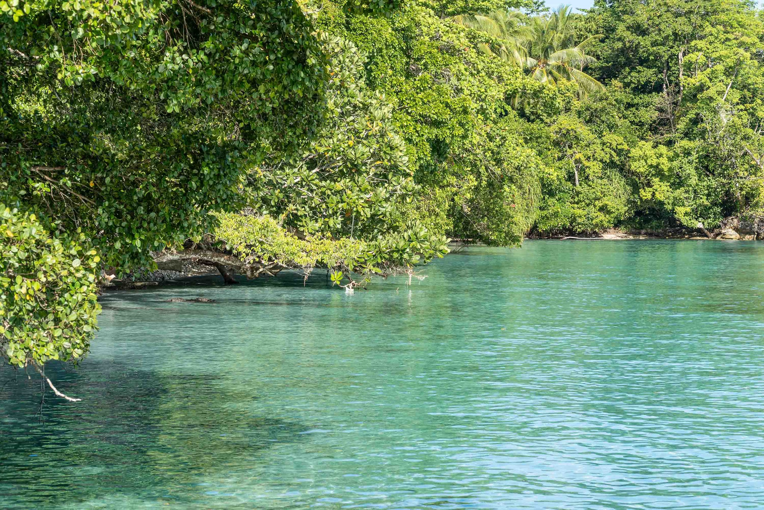 Best Dive Sites in Raja Ampat: 12 Legendary Sites Every Diver Should Know