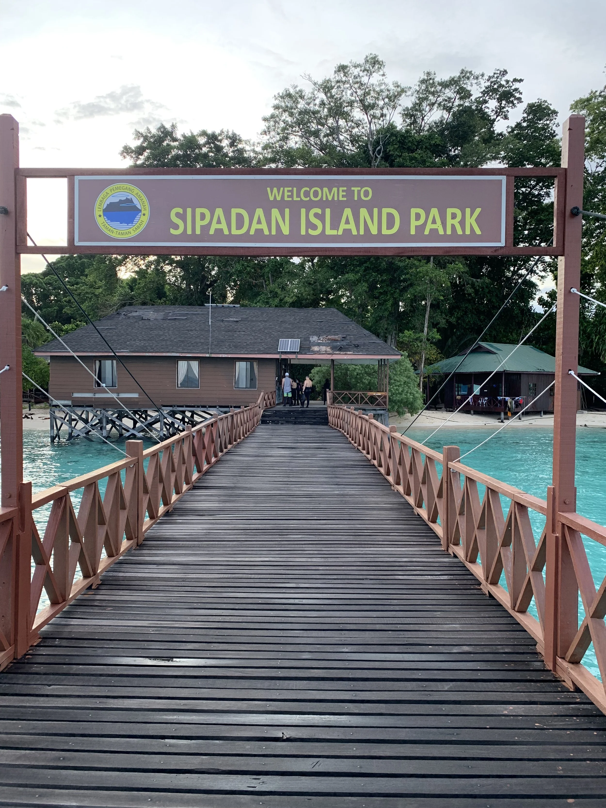🌴 Best Sipadan Dive Resorts in 2026 | Mabul, Kapalai &amp; Semporna Compared