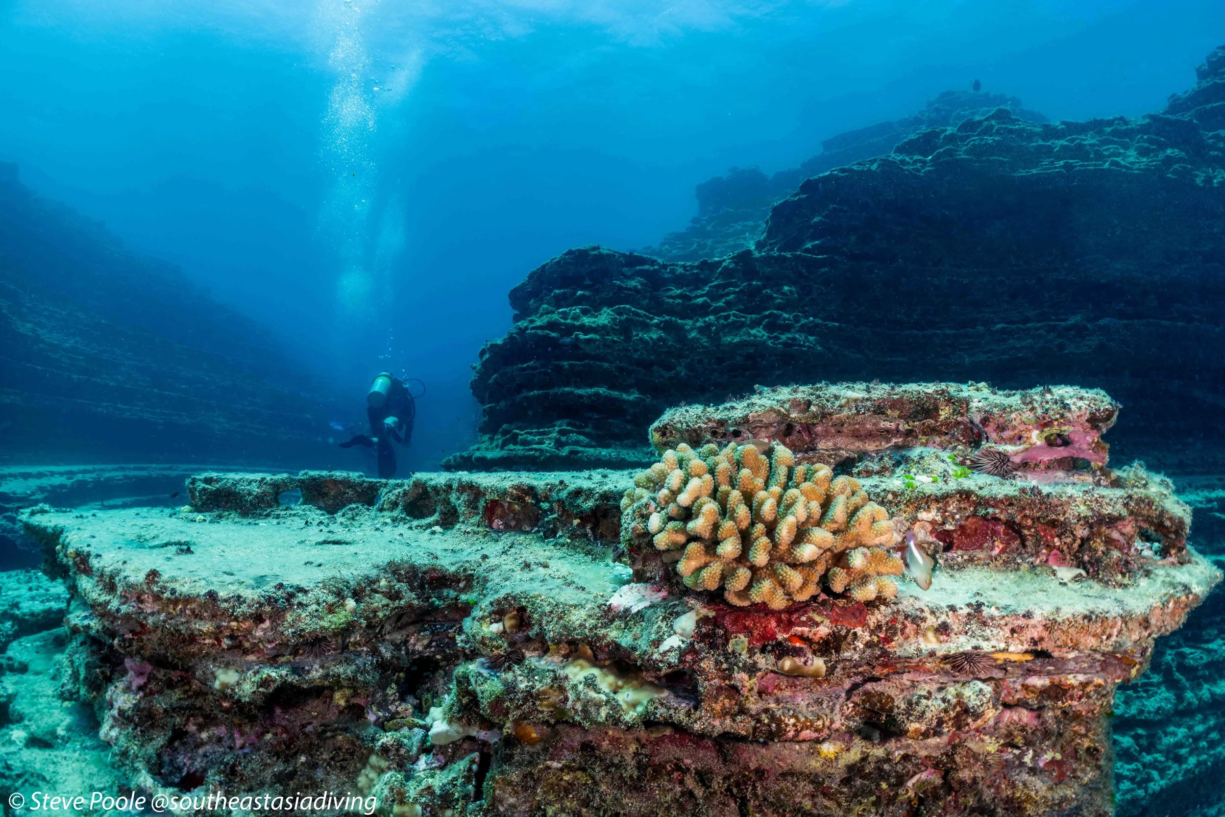 Kauai vs Southeast Asia Diving: What Nine Dives in Hawaii Taught Me