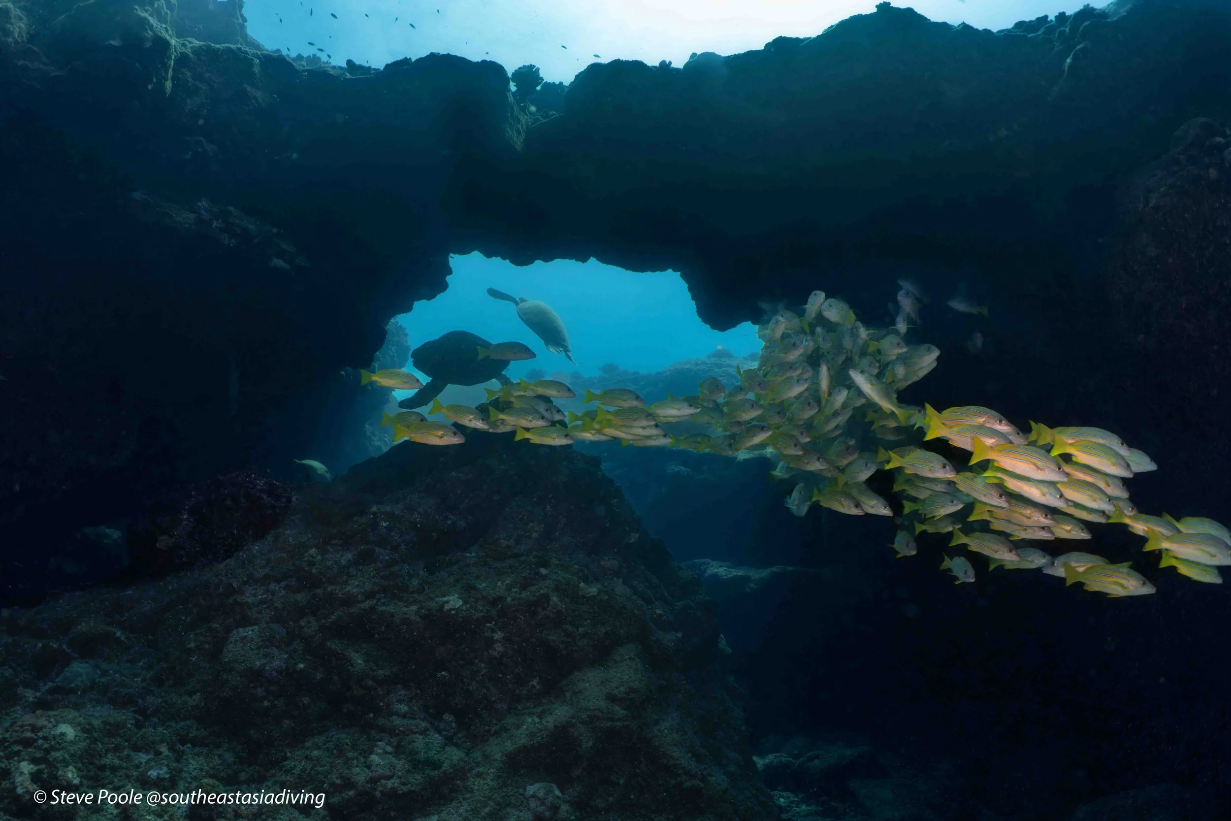 Diving Kauai's South Shore: Koloa Landing, Sheraton Caverns &amp; Three Fingers