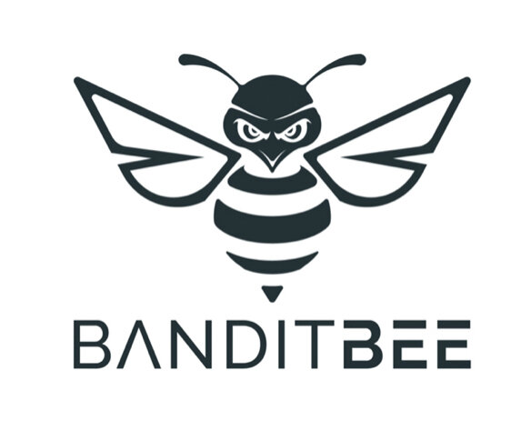 Bandit Bee Logo.jpg