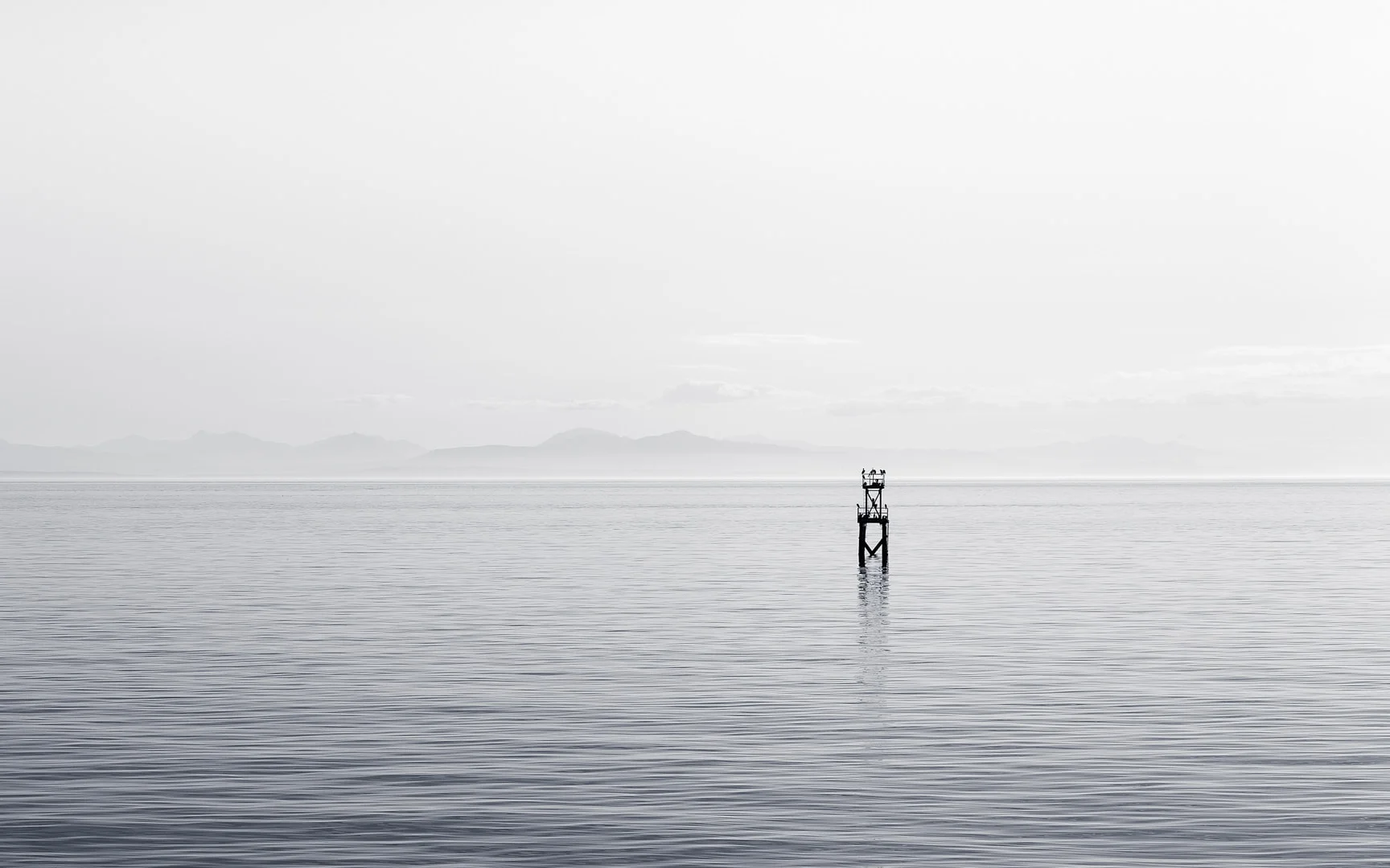 billy-lam-Post in water.jpg