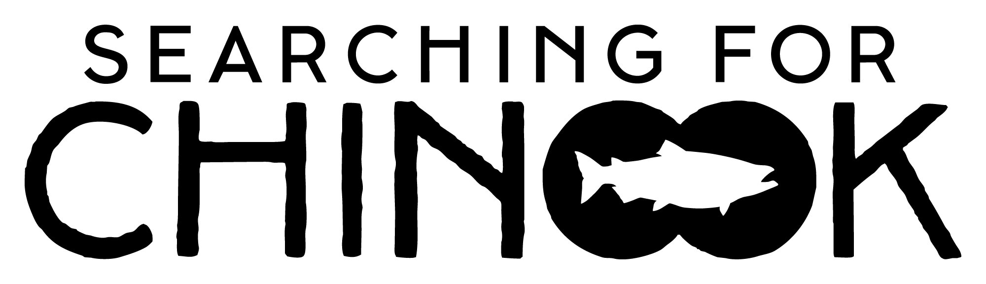 bins_logo_black.jpg