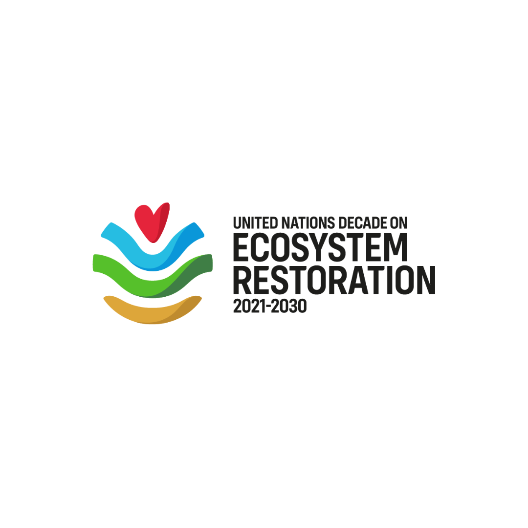 UN Decade at Concave Summit 2025.png