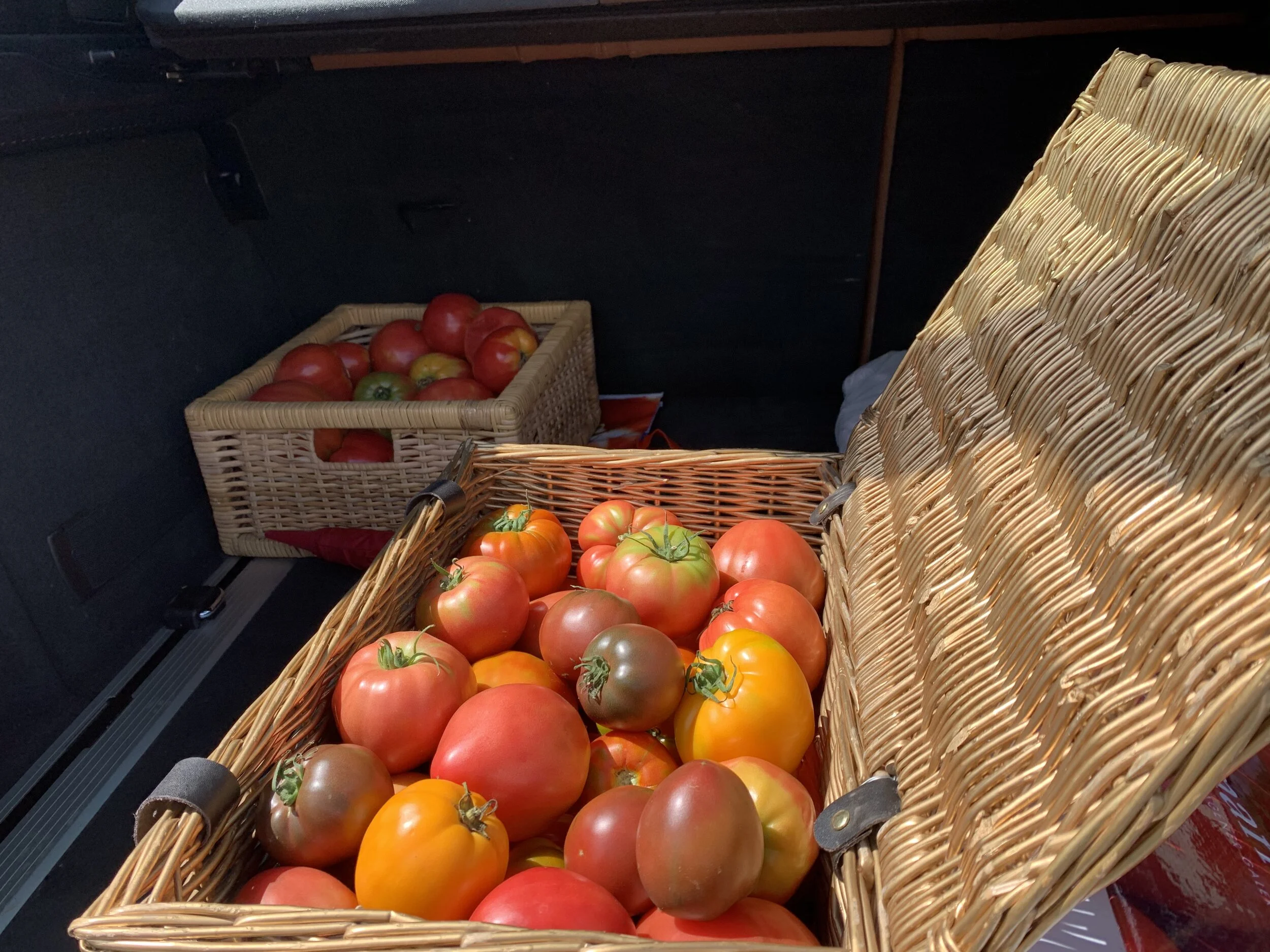 О пользе путешествий