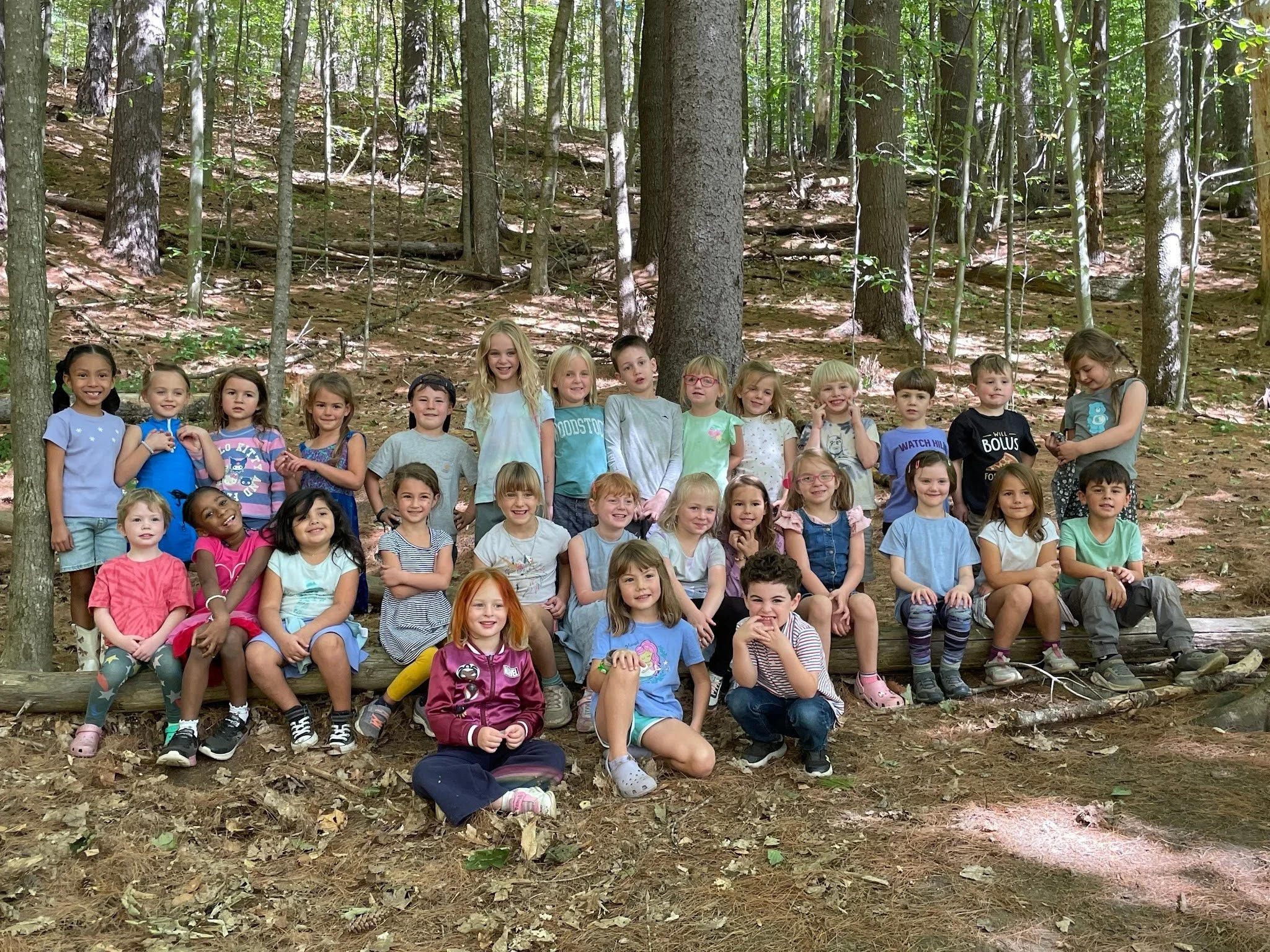 foresttime.jpg