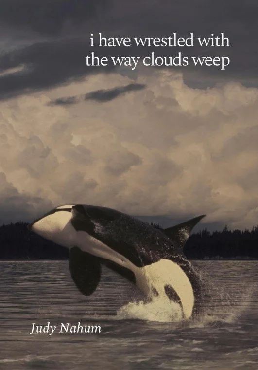 Review, “i have wrestled with the way clouds weep” by Judy Nahum.
