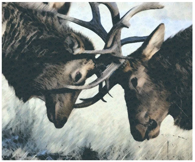 “Cold Reckoning,” Fiction, Robert McGuill.