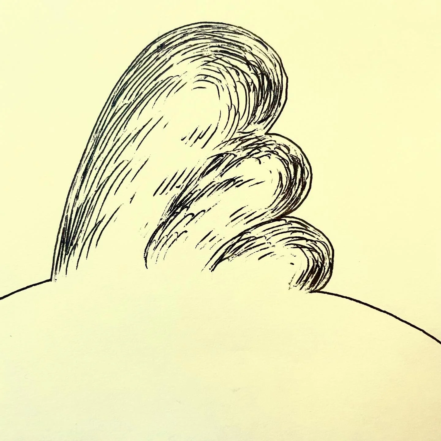 The hair. Everyone raves about Fat Baby&rsquo;s hair. No one has gotten this close to see the absolute beauty it truly has. This photograph is one of a kind. Available for $10,000 USD. It&rsquo;s a work of art. Probably worth way more. This is a deal