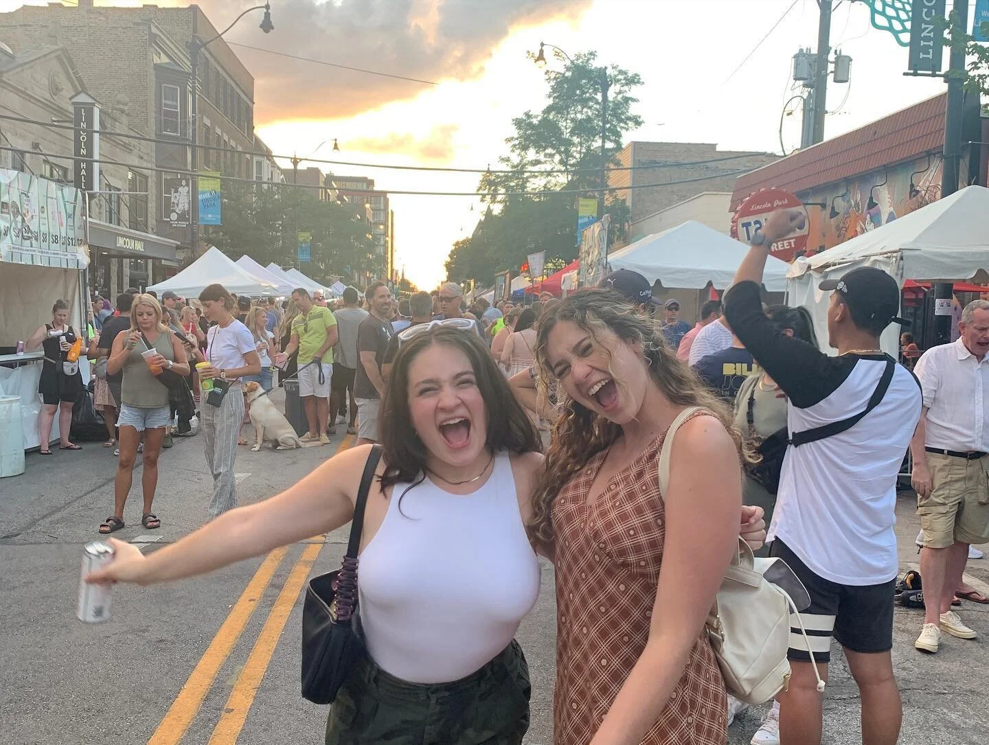 july in chi!! (and galena and st clair shores)