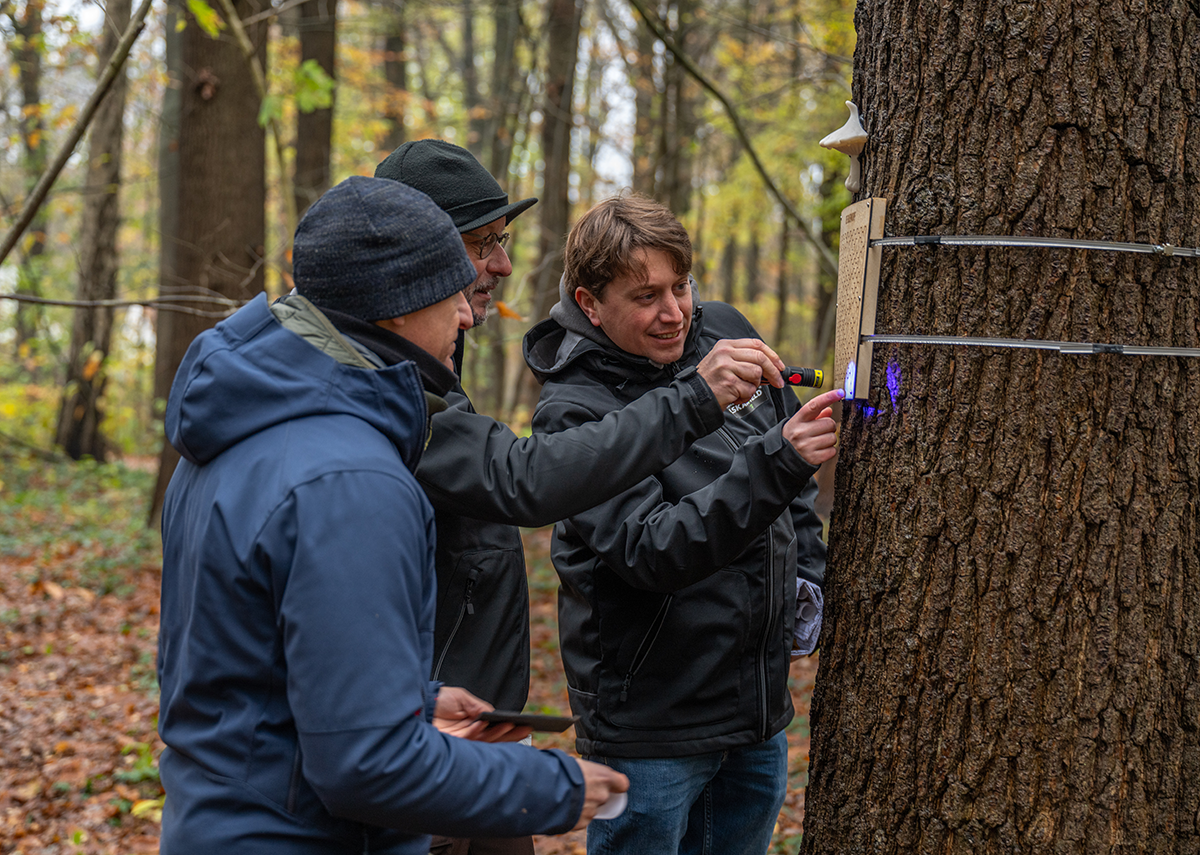 Bio Battle 2026 Emilie Declerck (8).png