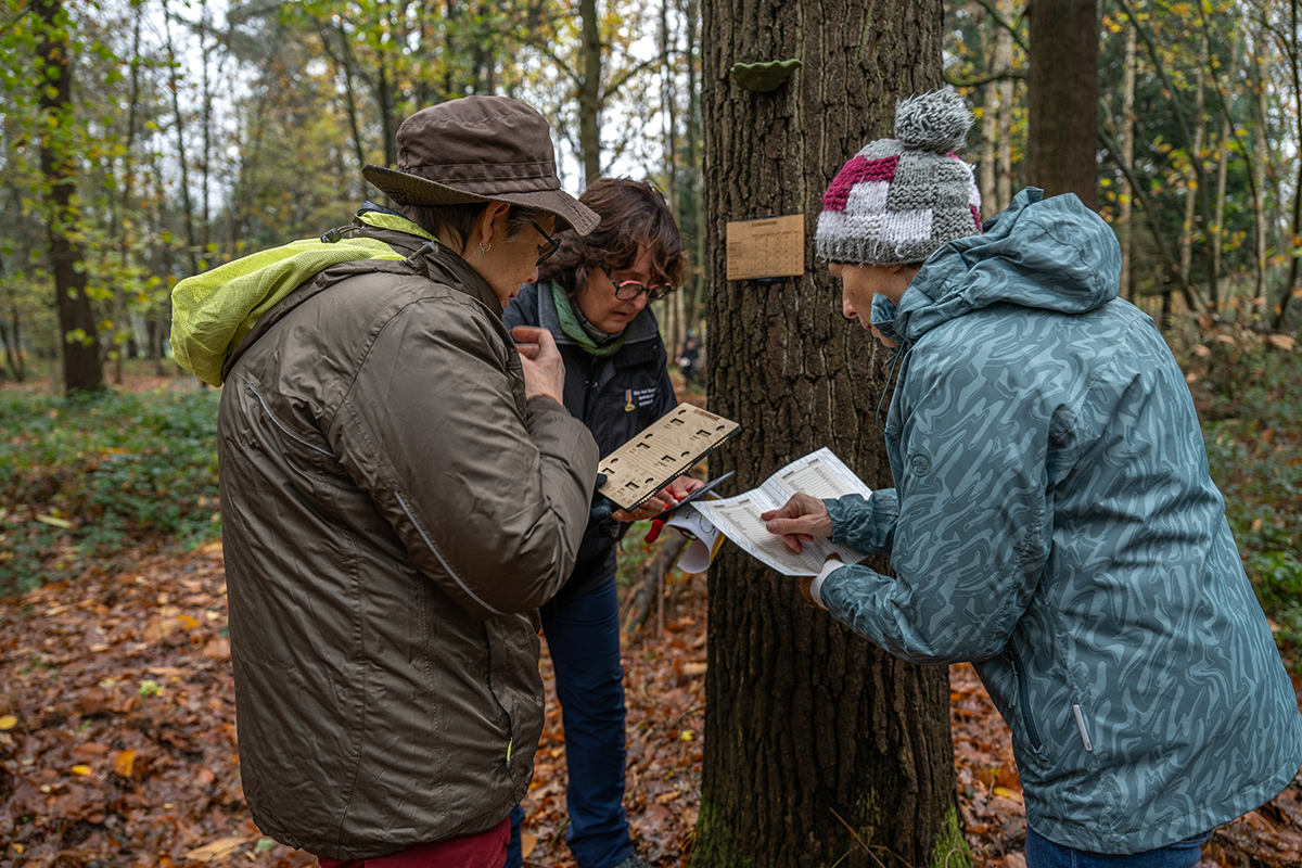 Bio Battle 2026 Emilie Declerck (9).png