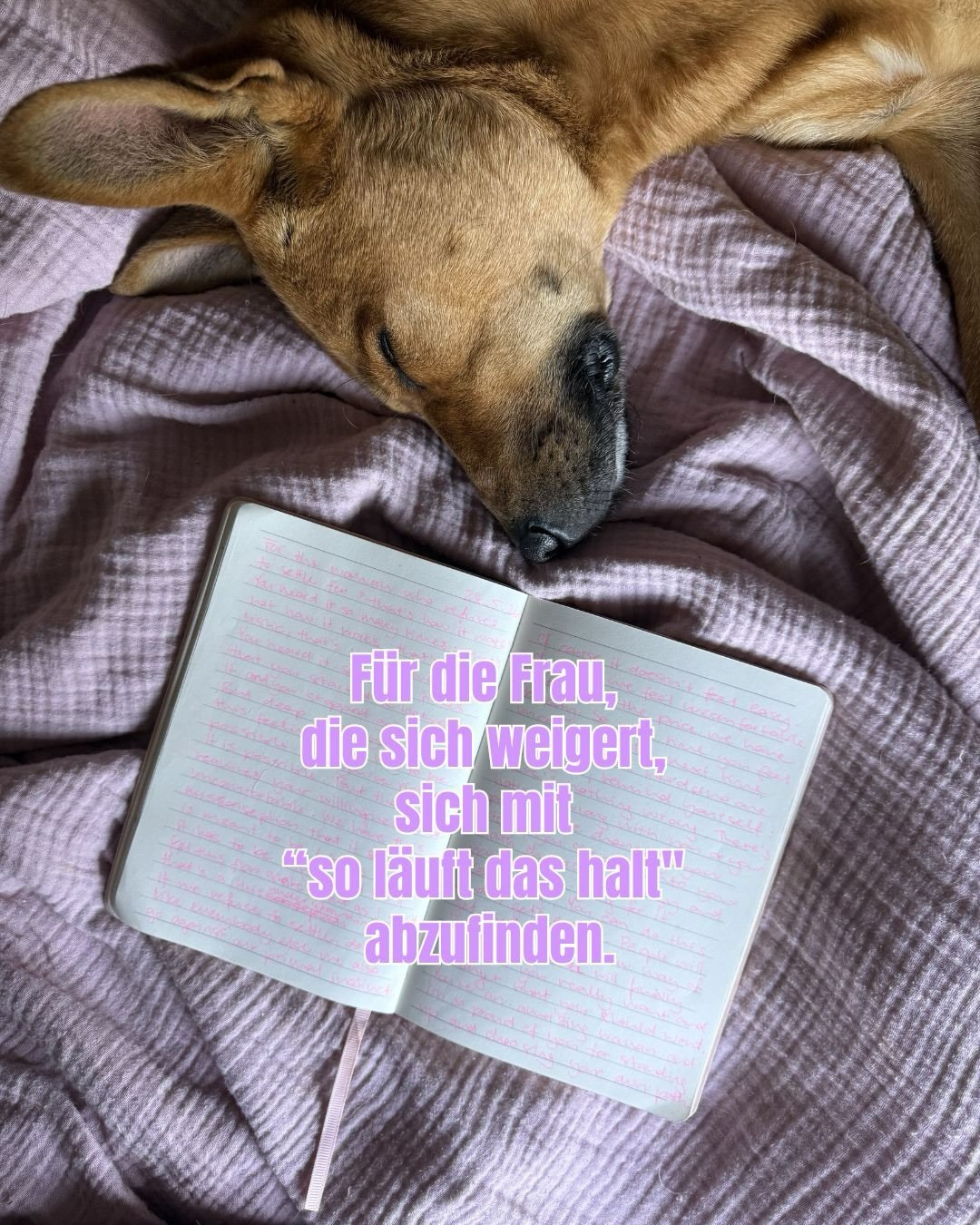 F&uuml;r die Frau, die sich weigert, sich mit &ldquo;so l&auml;uft das halt&rdquo; abzufinden.

Du hast es so oft geh&ouml;rt: So funktioniert das nicht. Das ist unrealistisch. So macht man das bei uns nicht. Du hast es so oft geh&ouml;rt, dass du an