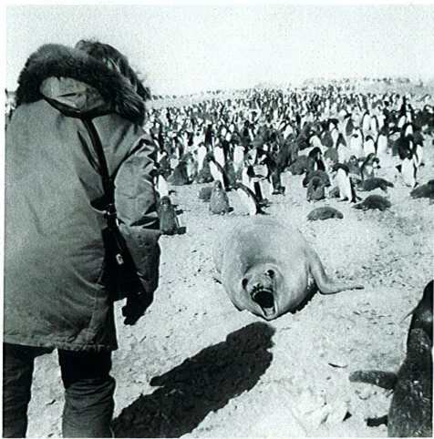 Antartica
