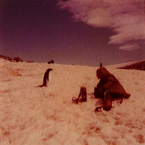 antartica - 5.3.jpg