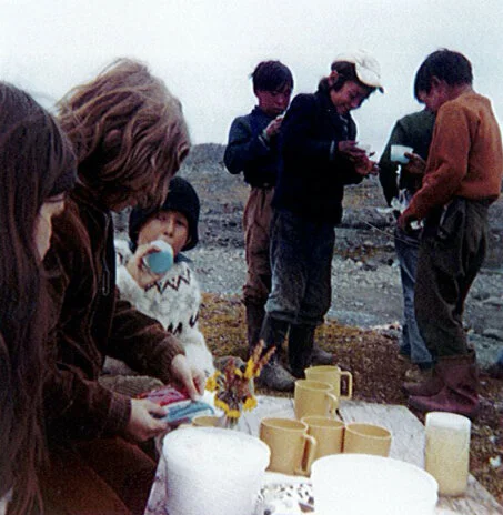 greenland - 9.3.jpg