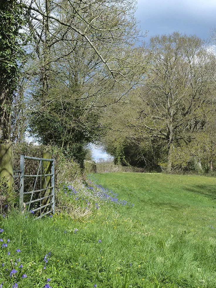 West Sussex (17 April 2016)P1110367.jpg