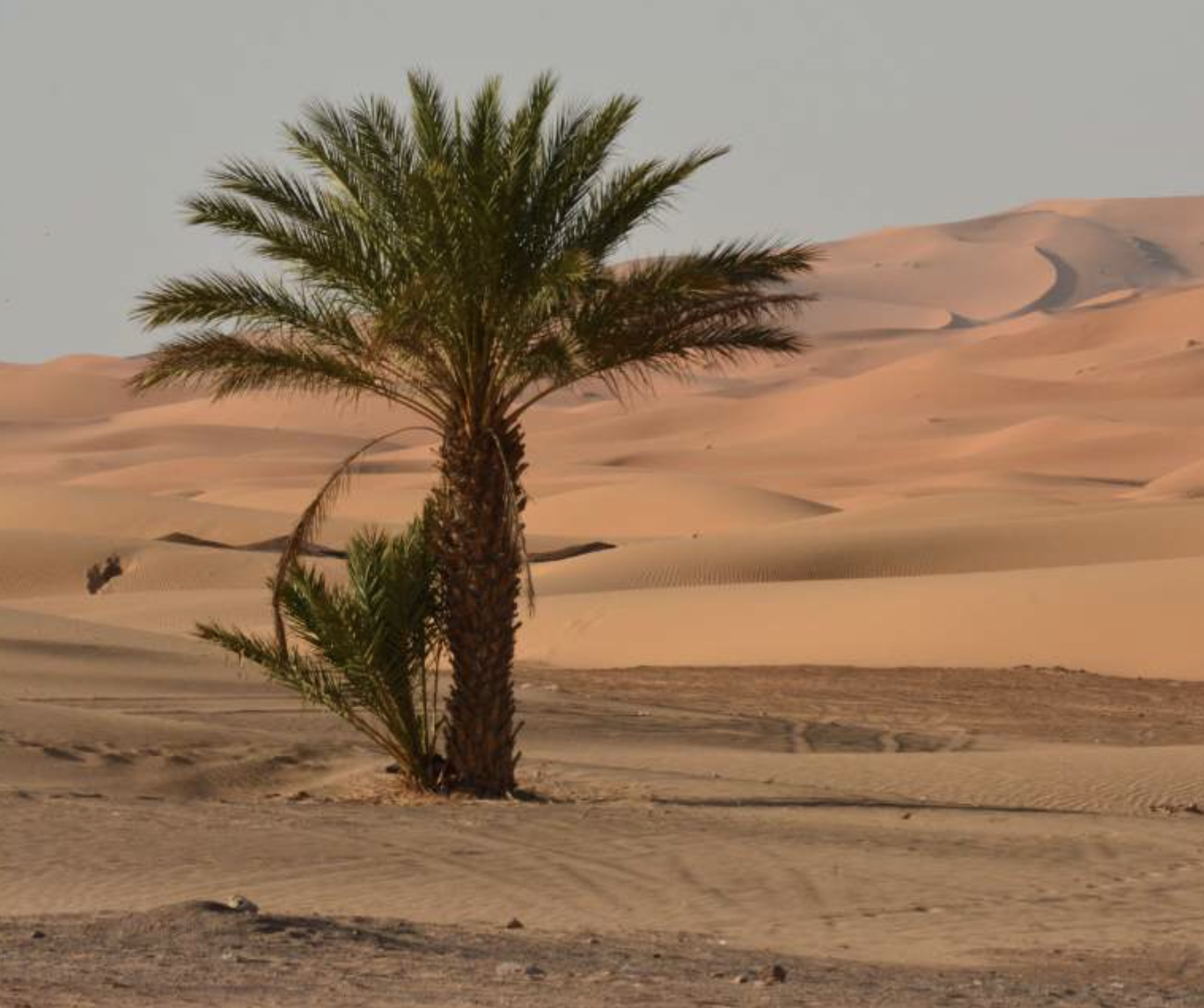 Magnificent Morocco! by Craig Doser