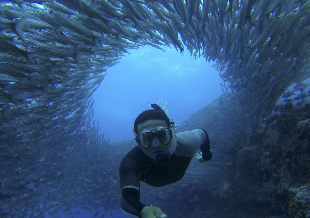 Galapagos Underwater School of Fish Selfie-Omar Medina 2014-G0092559 Lg RGB.jpg
