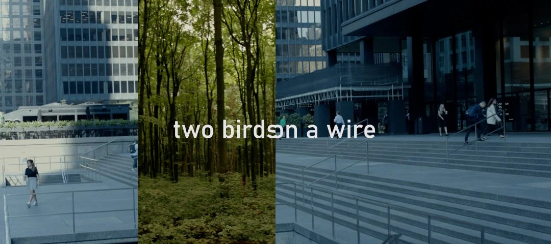 Two Birds On A Wire - Composer