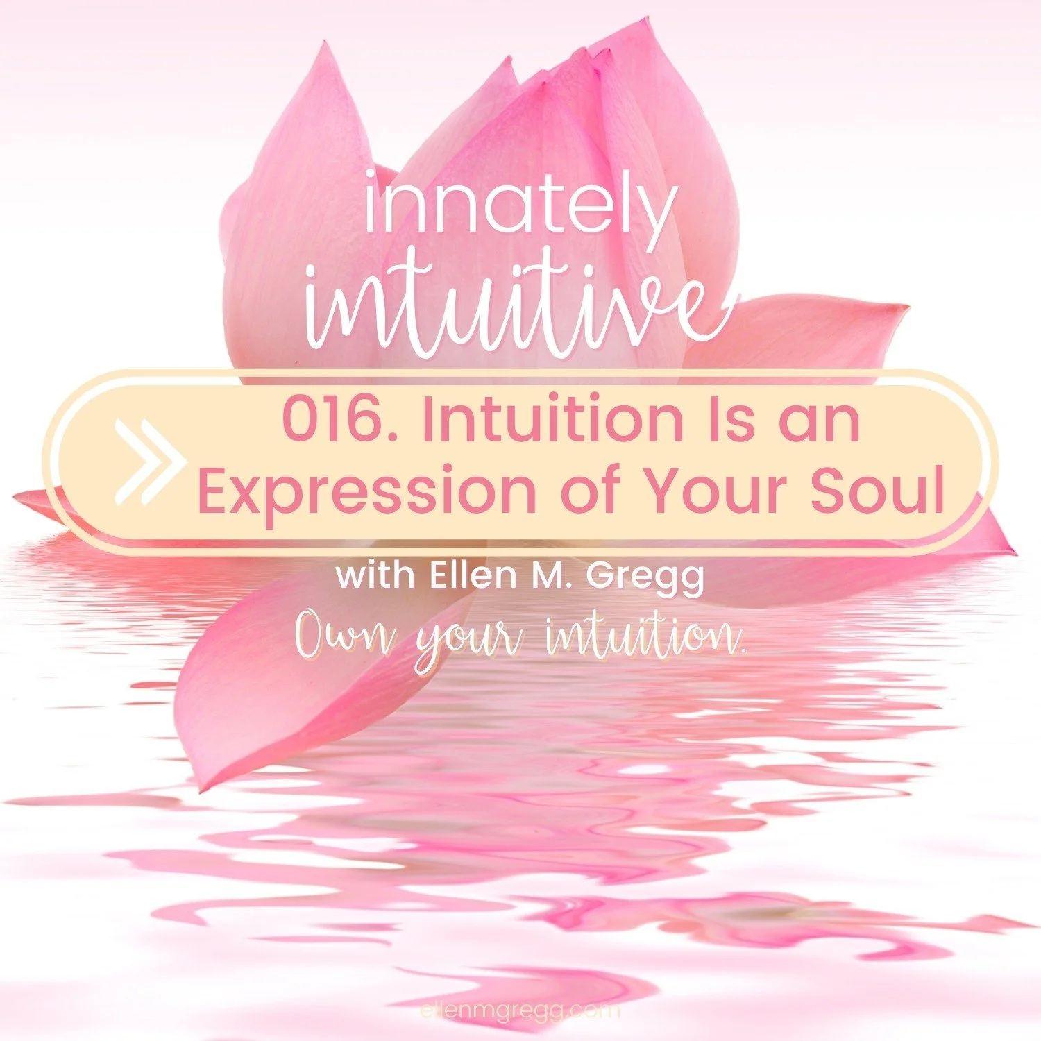 016. Intuition Is an Expression of Your Soul episode artwork