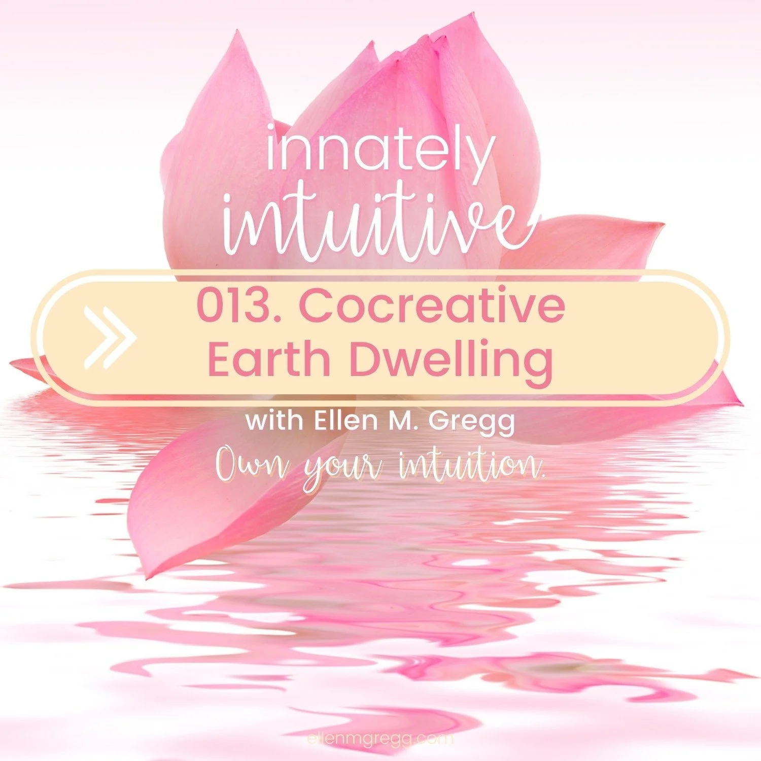 013. Cocreative Earth Dwelling episode artwork