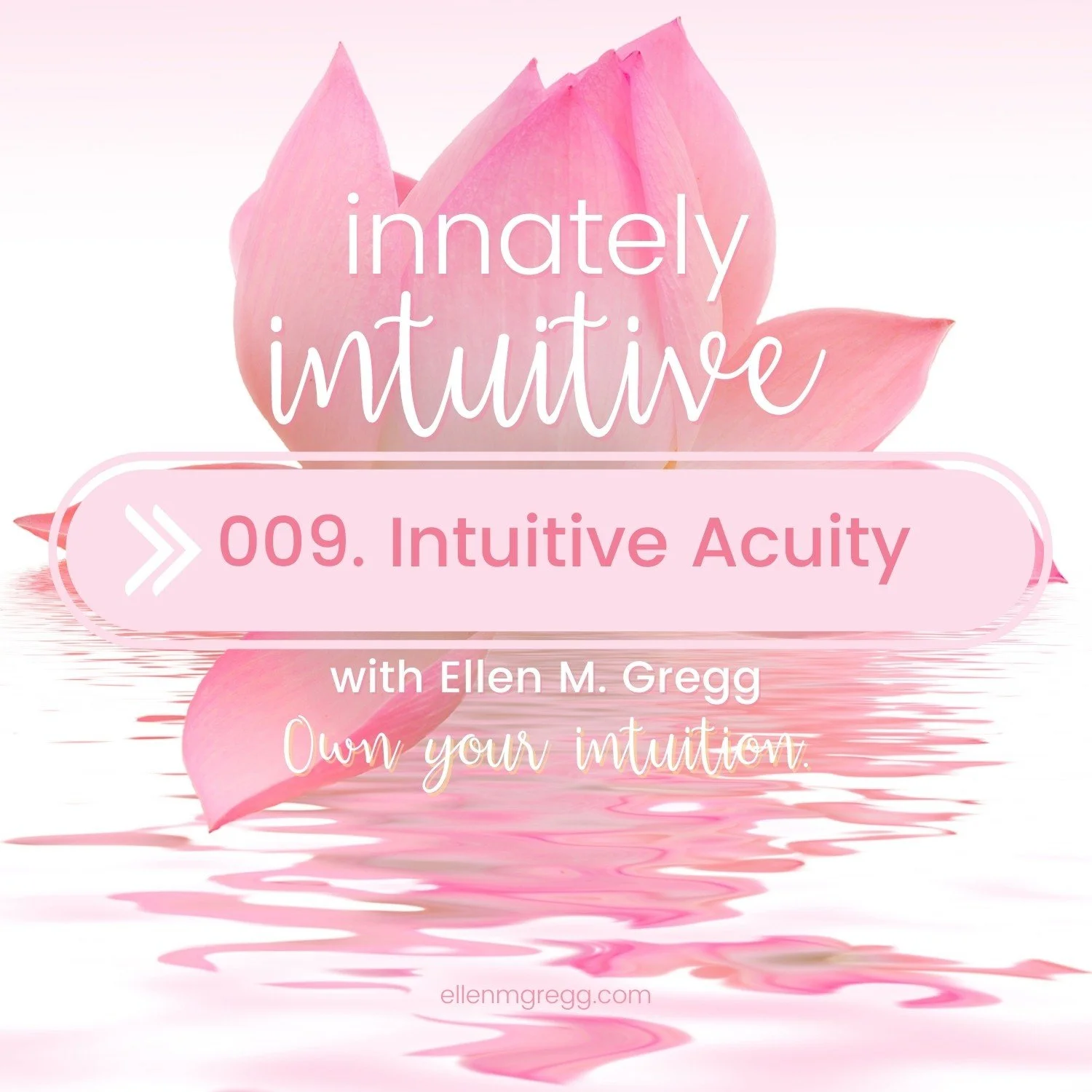 009. Intuitive Acuity episode artwork