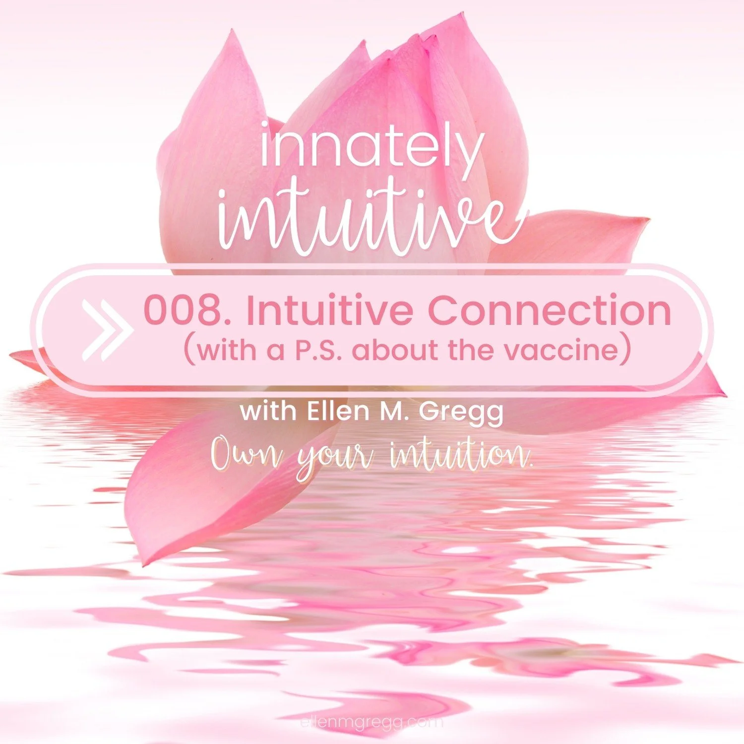 008. Intuitive Connection (with a P.S. about the Vaccine) episode artwork