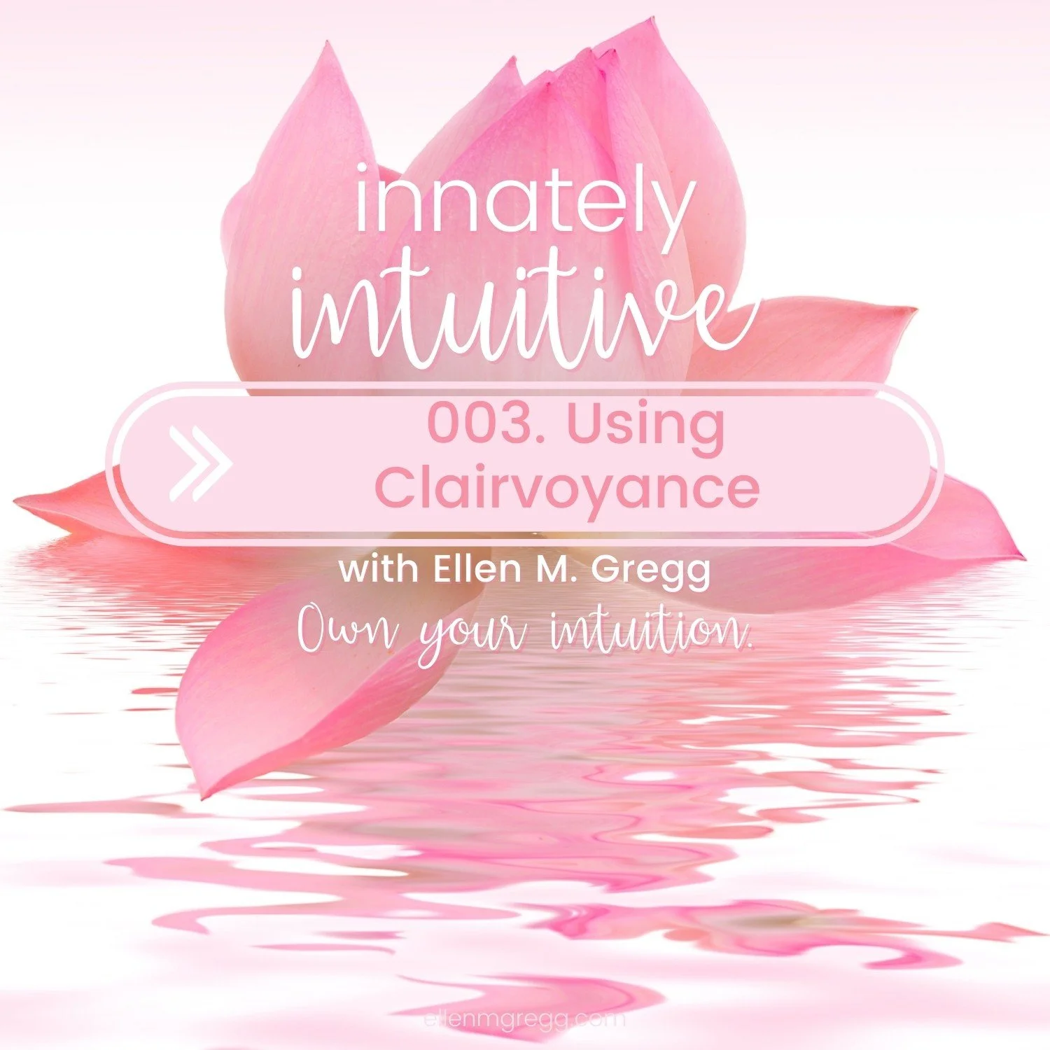 003. Using Clairvoyance episode artwork