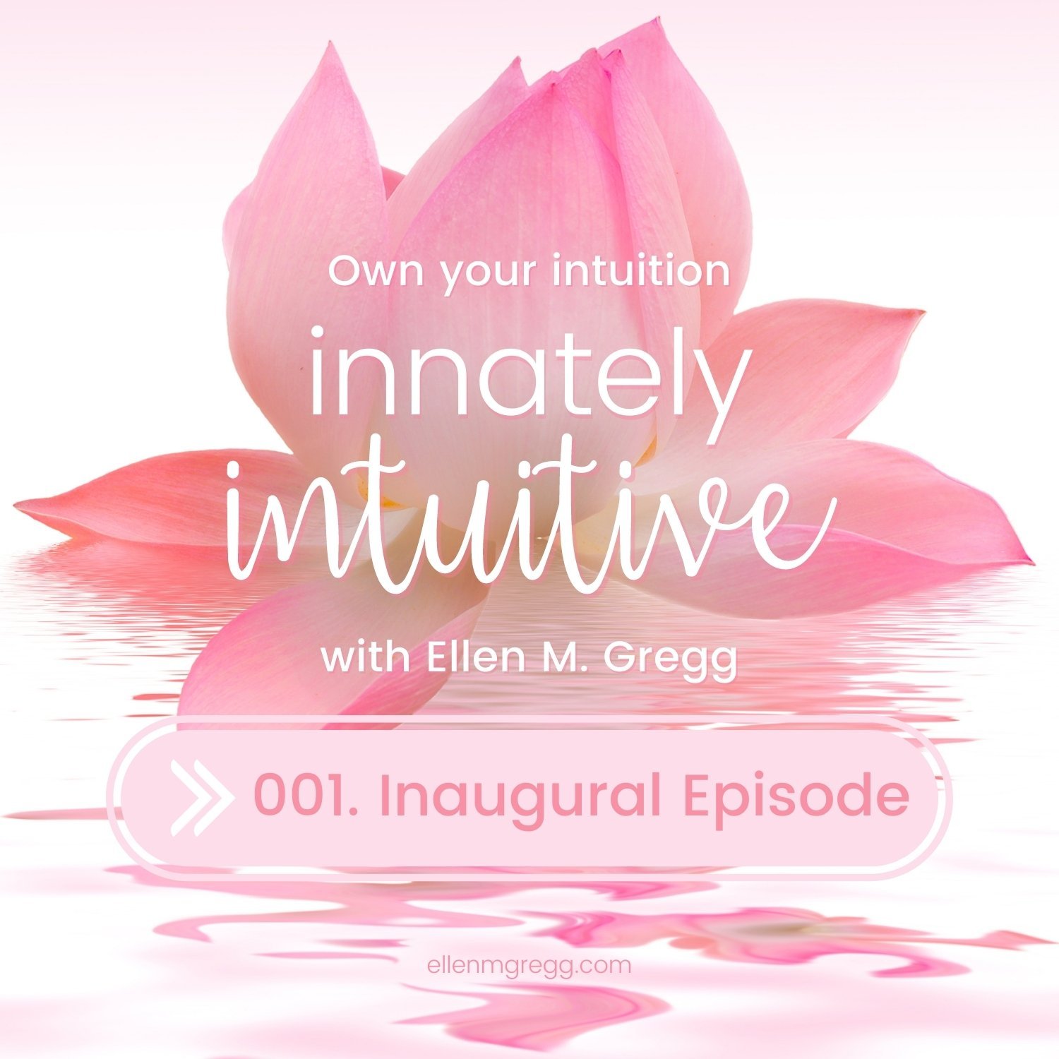 001. Inaugural Episode episode artwork
