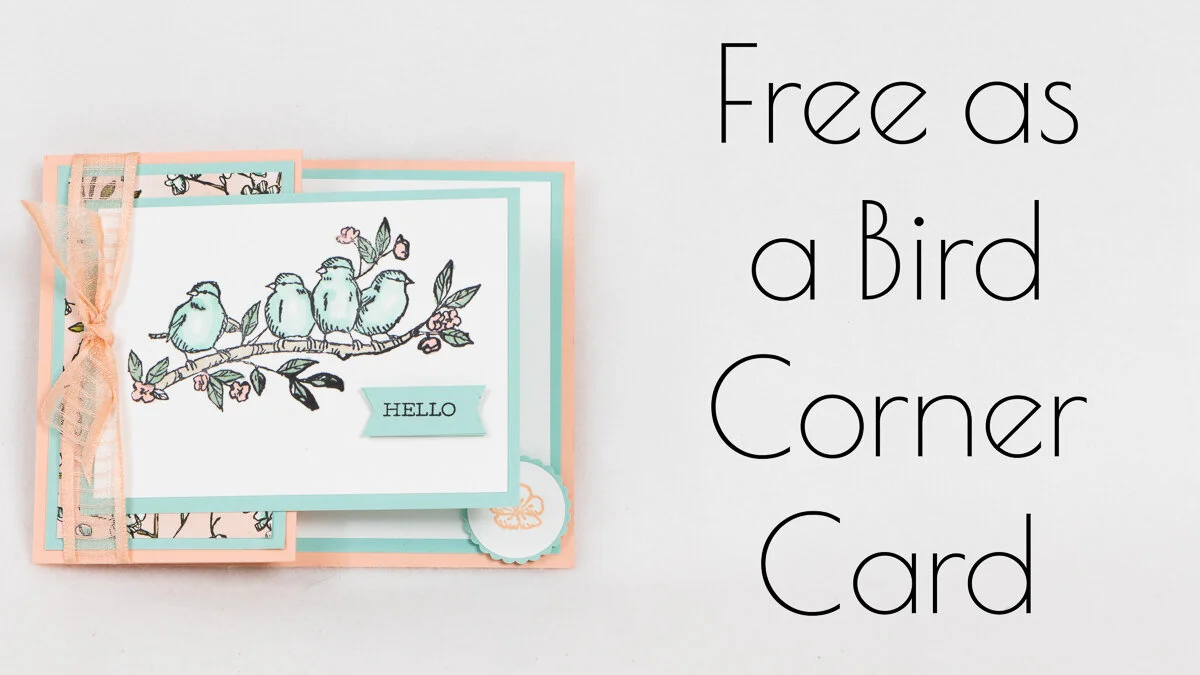 SHOW YOU CARE - BUY A CARD FOR THE FOOD BANK  #0036