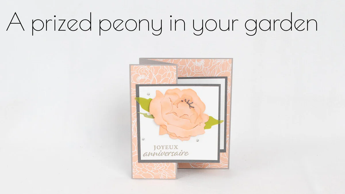 A PRIZED PEONY IN YOUR GARDEN