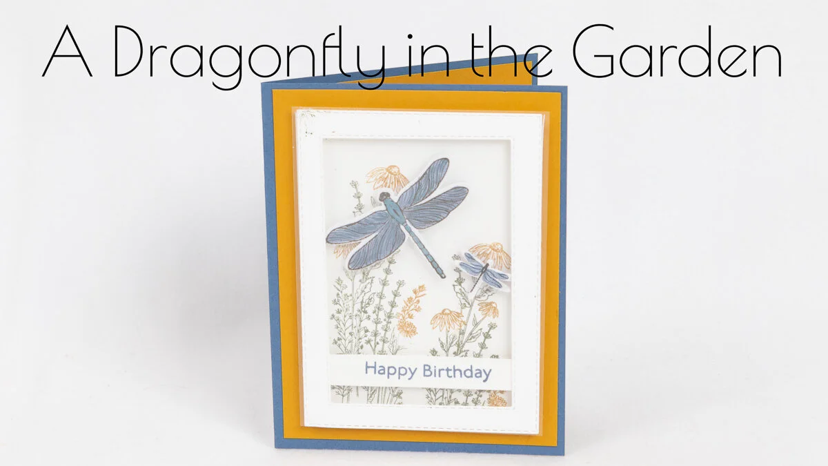 A DRAGONFLY IN YOUR GARDEN