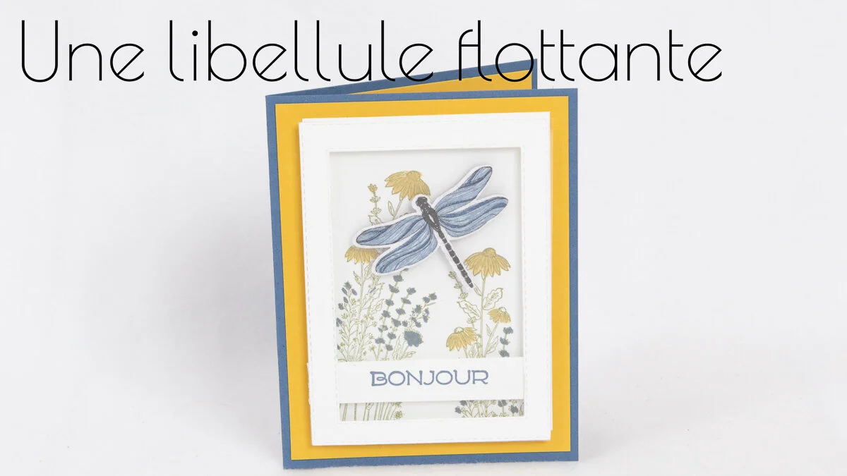 UNE JOLIE LIBELLULE AU JARDIN