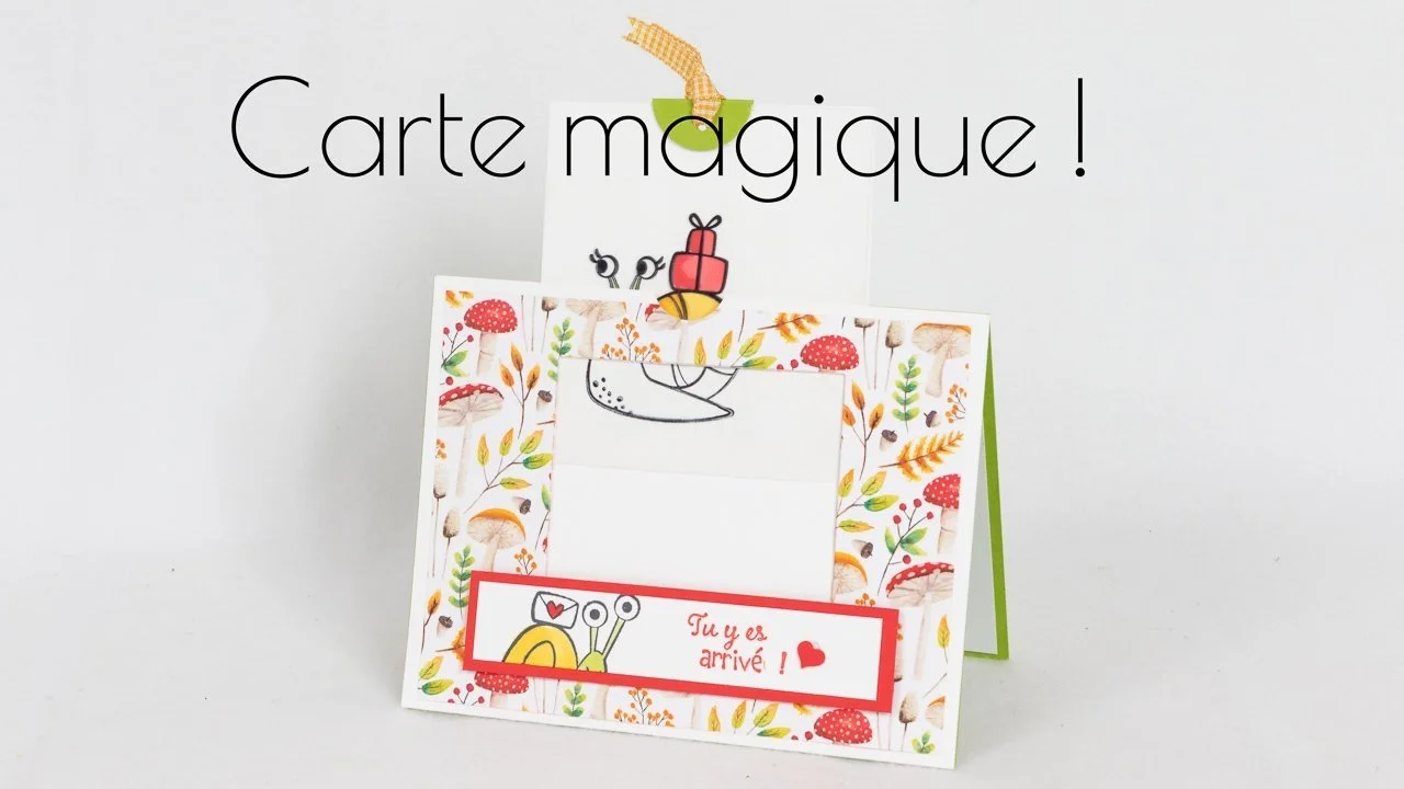 UNE CARTE MAGIQUE QUI SAURA PLAIRE
