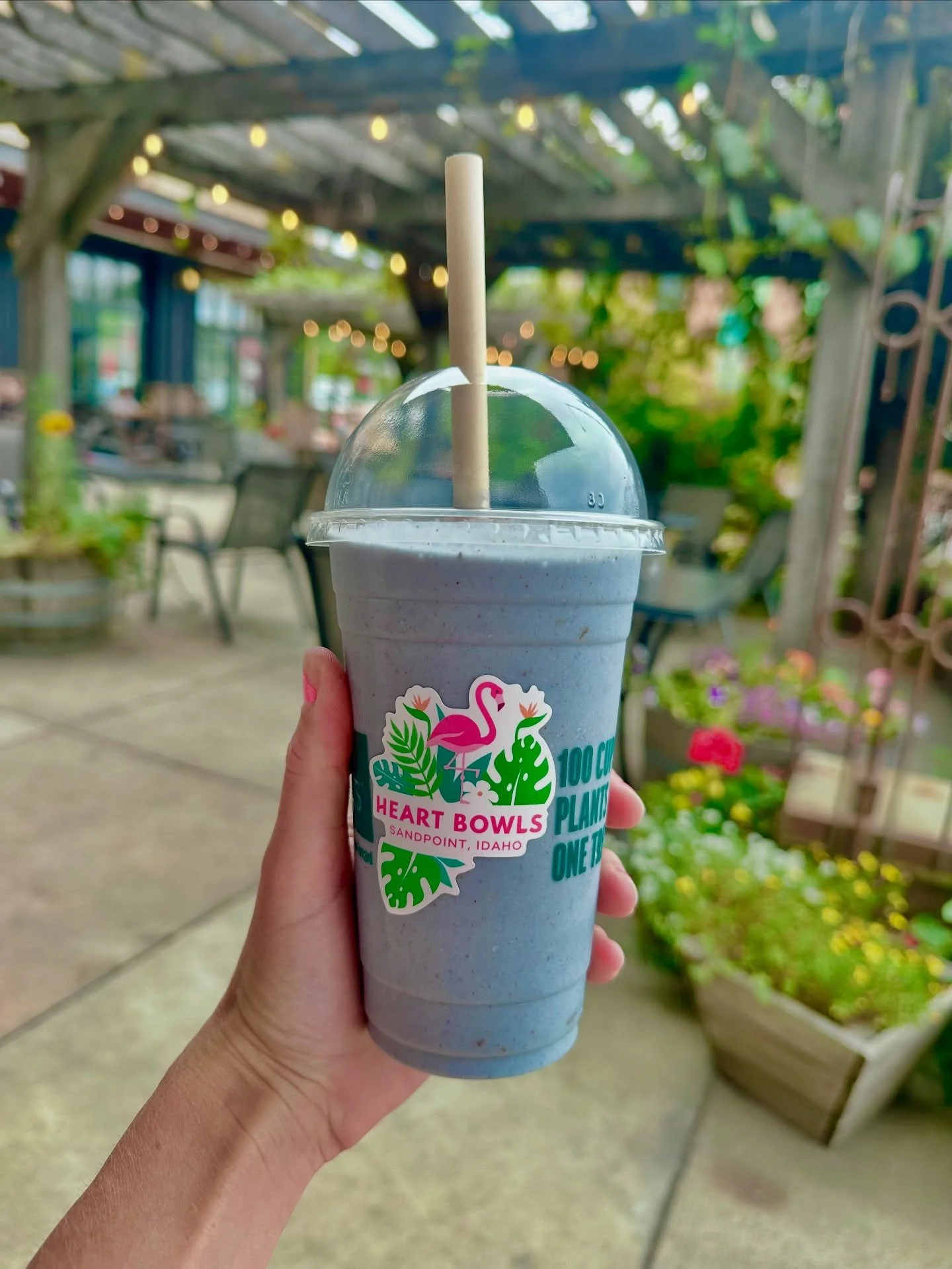 Recovery is complete, after a hard trail run this morning; I&rsquo;m so grateful for this blue moon 🌙 smoothie 💗
&bull;
#sandpoint #smoothie #bluespirulina #healthyfood #foodie