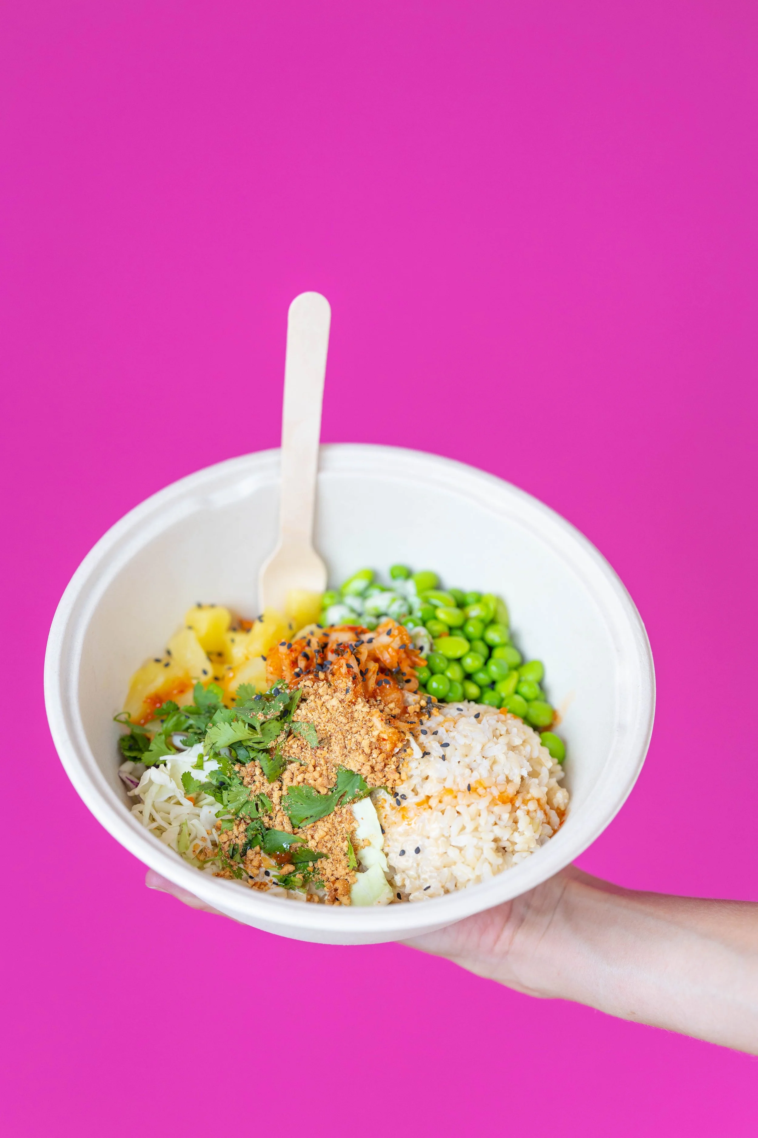 Asian Fusion Rice Bowl-4414.jpg