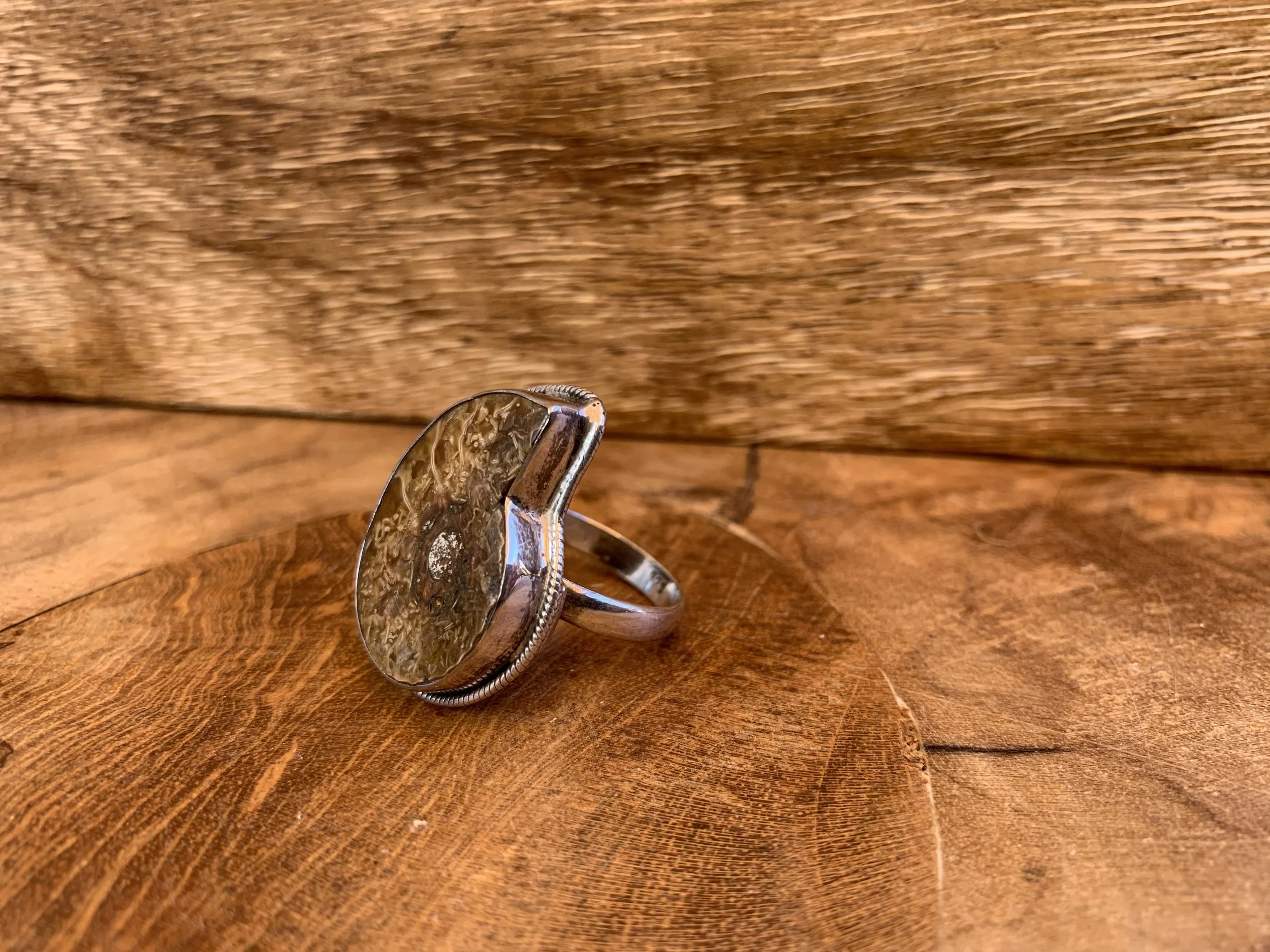 Ammonite Ring