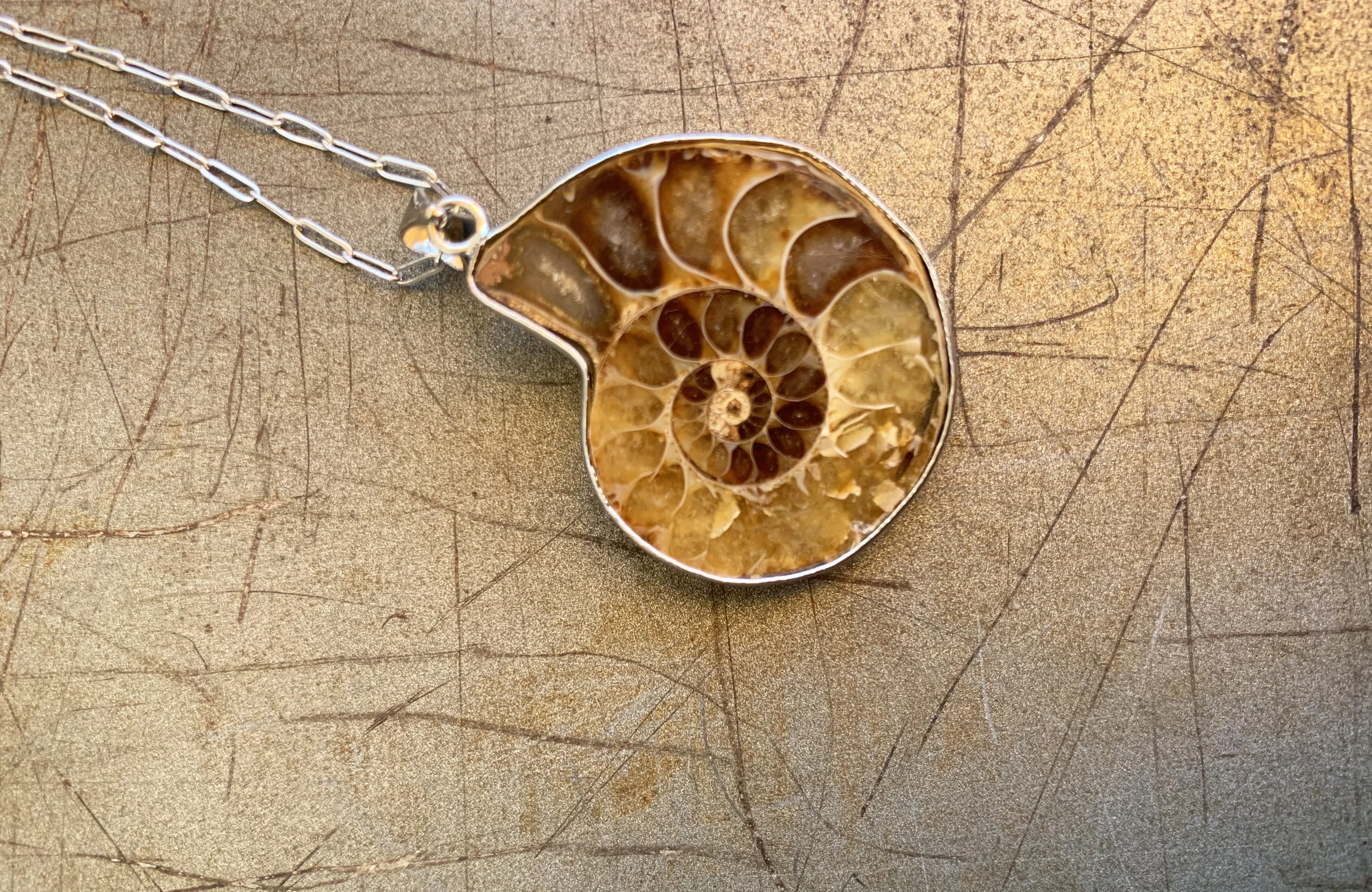 Ammonite Chain Necklace
