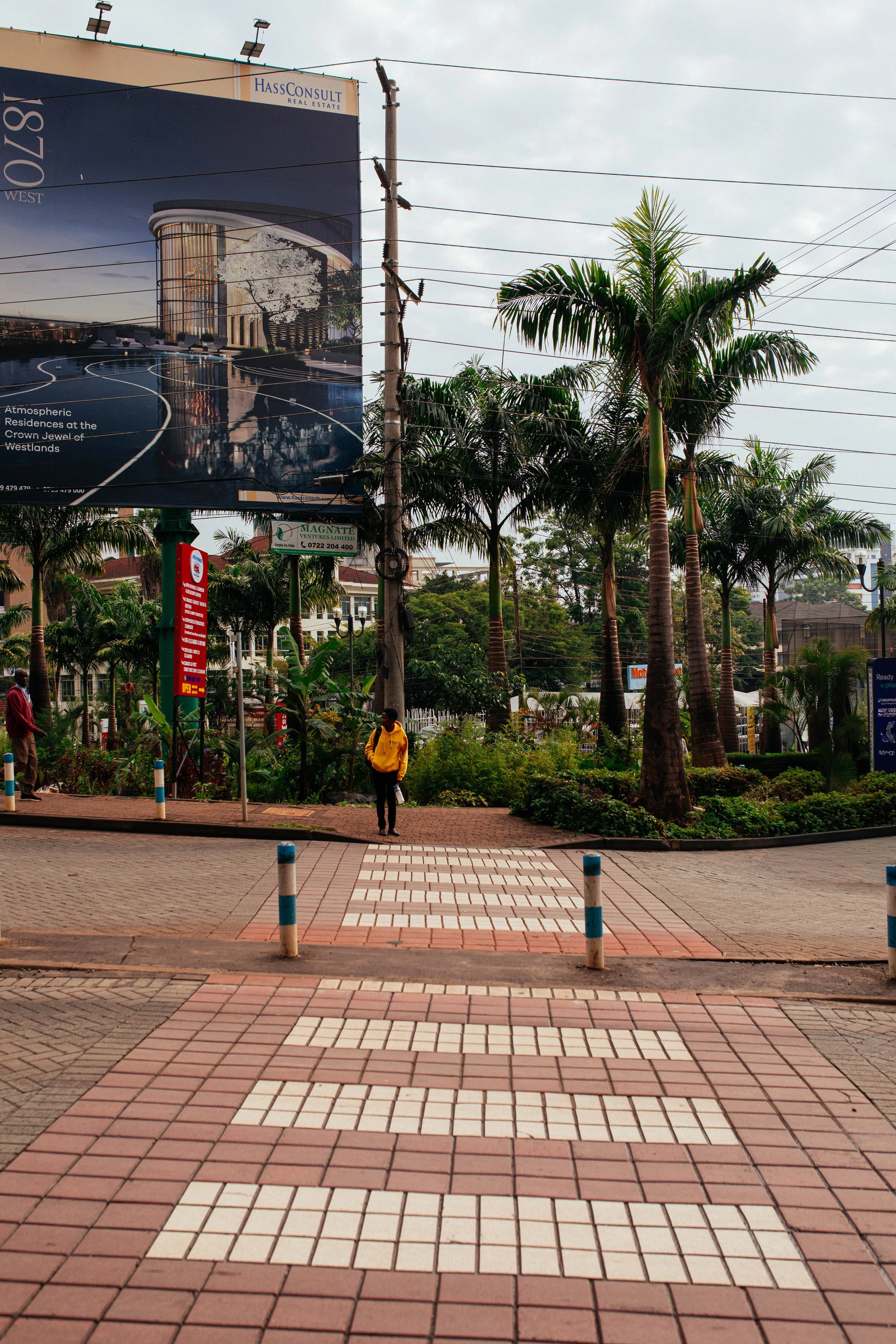 _11A0577.jpg