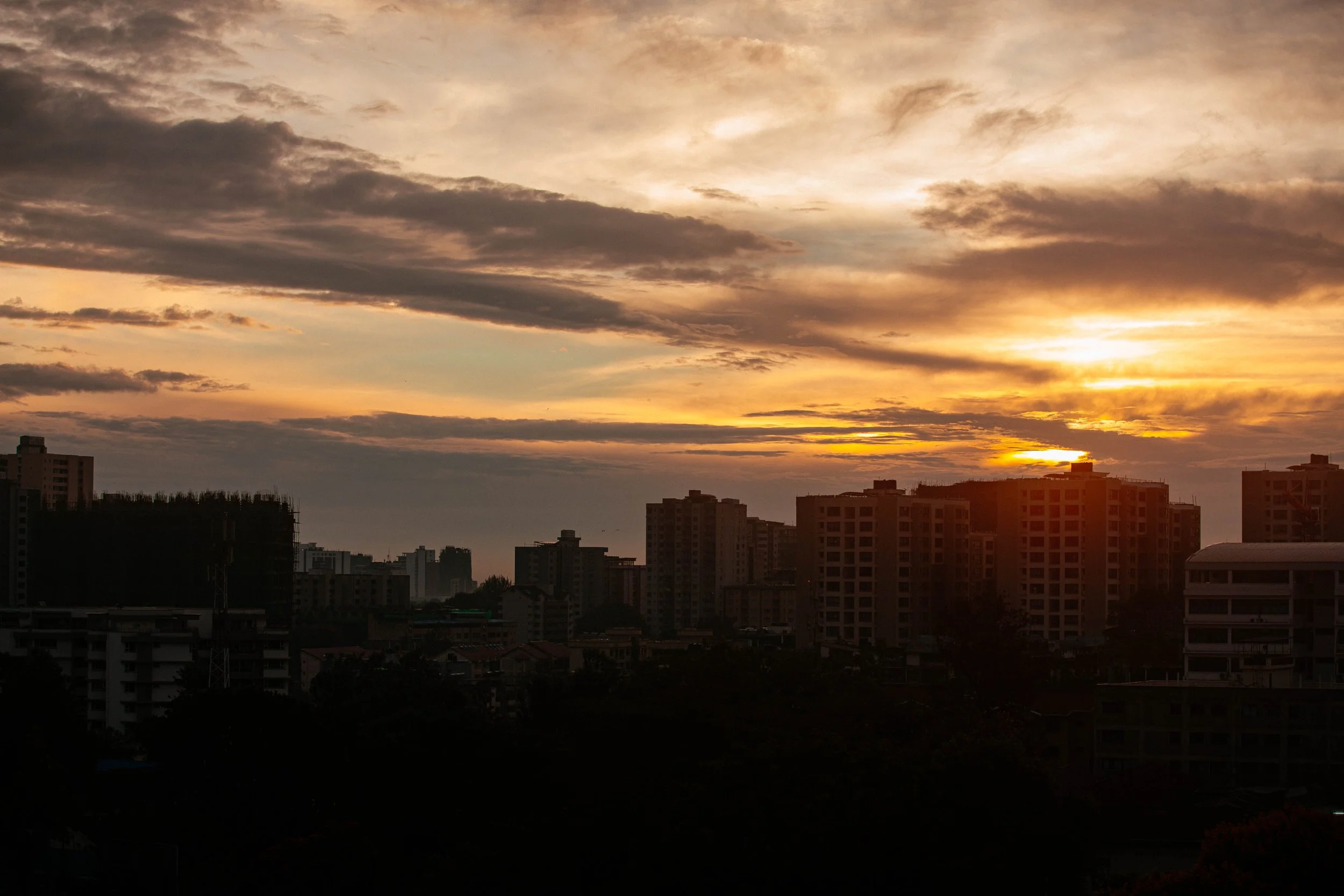 _11A0627.jpg