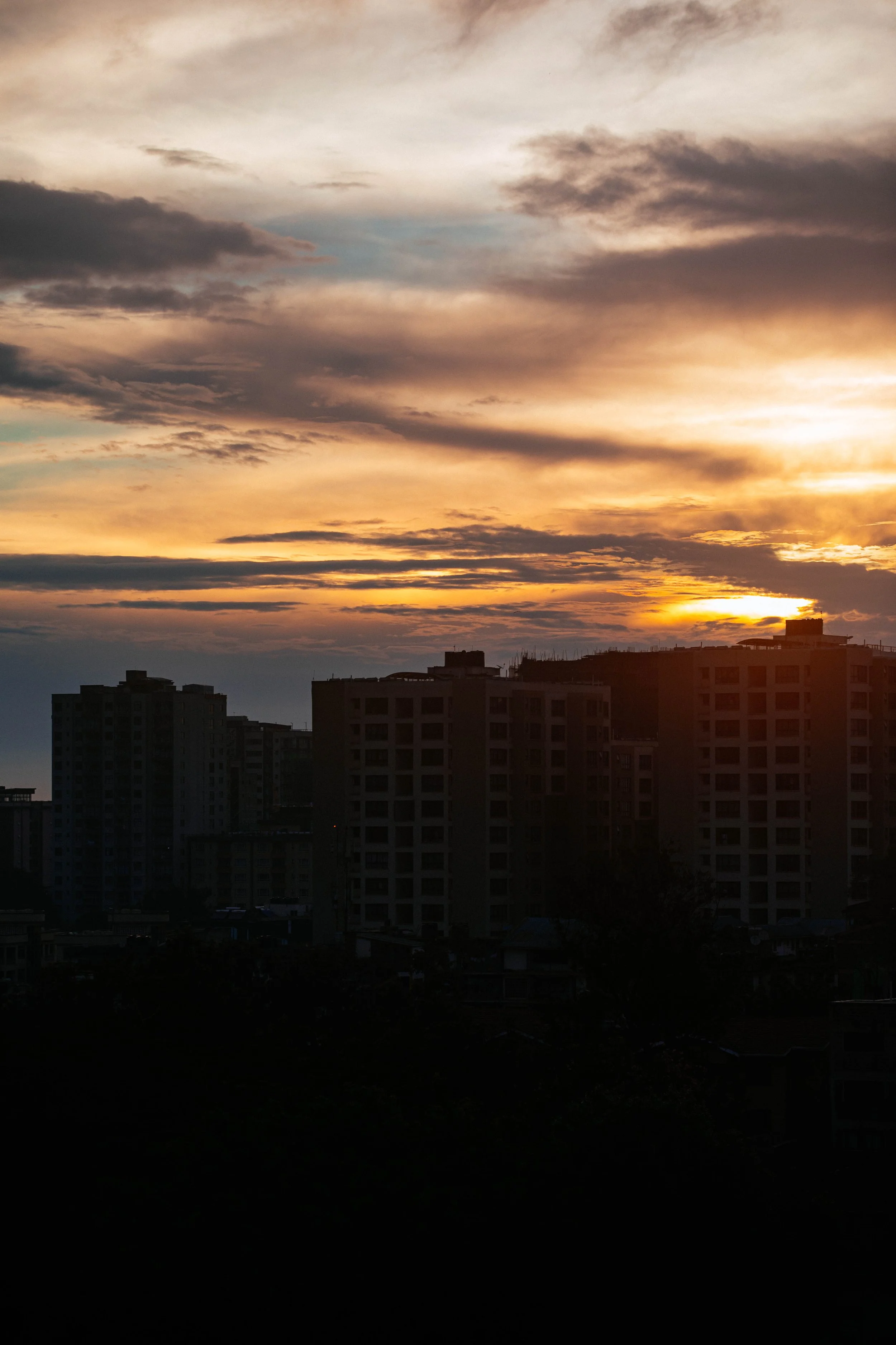 _11A0635.jpg