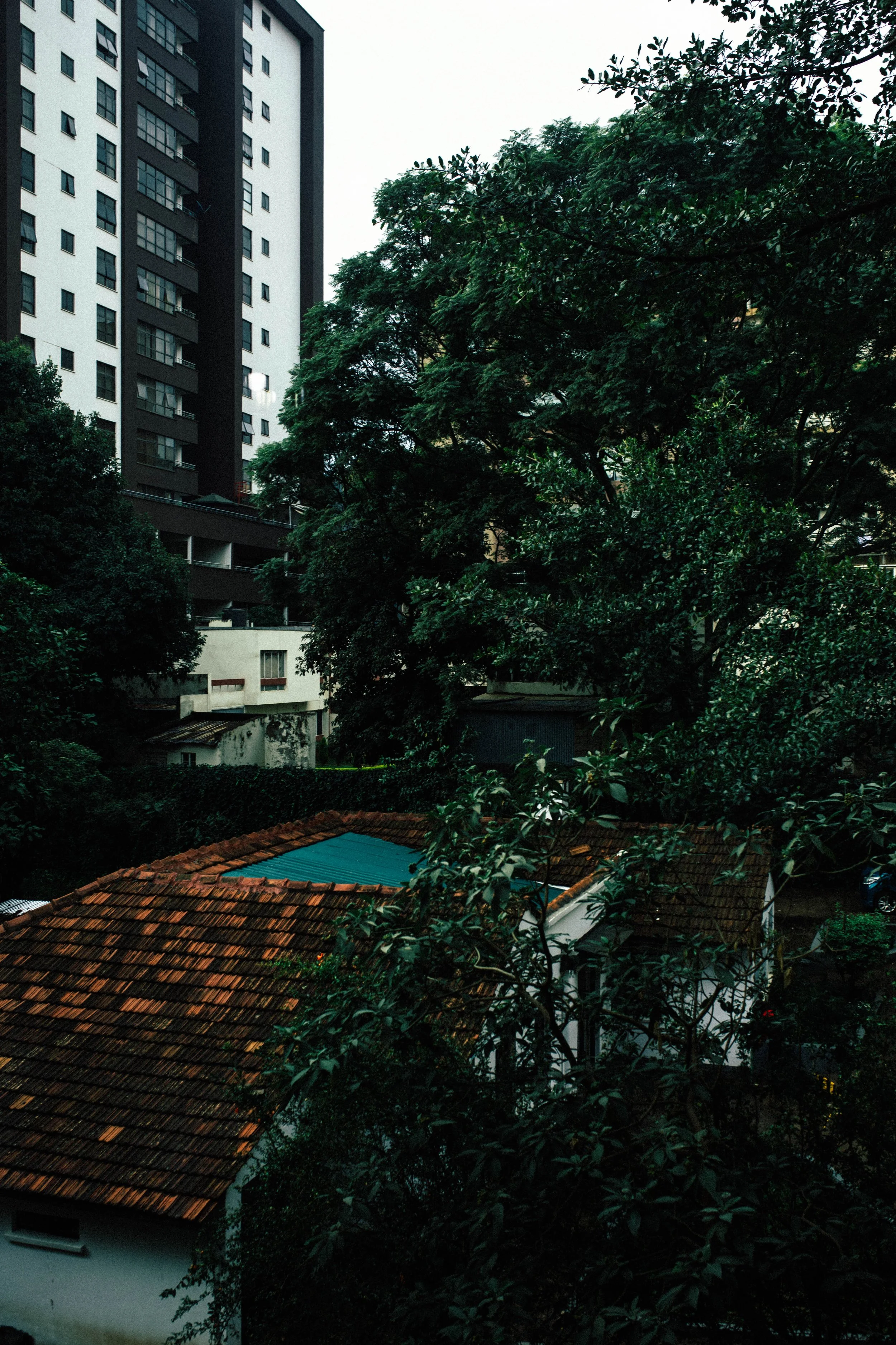 _11A0552.jpg