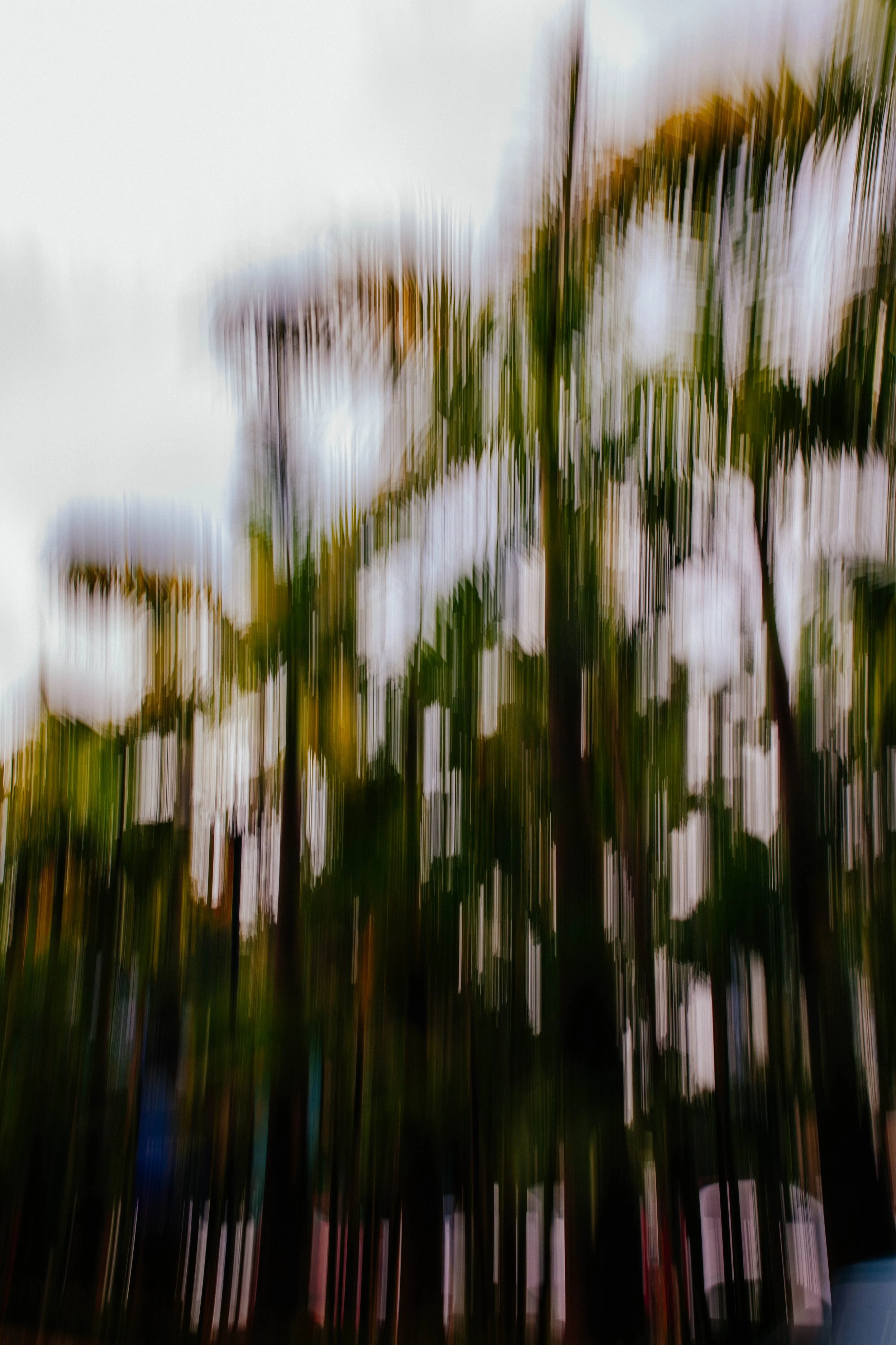 _11A0606-2.jpg