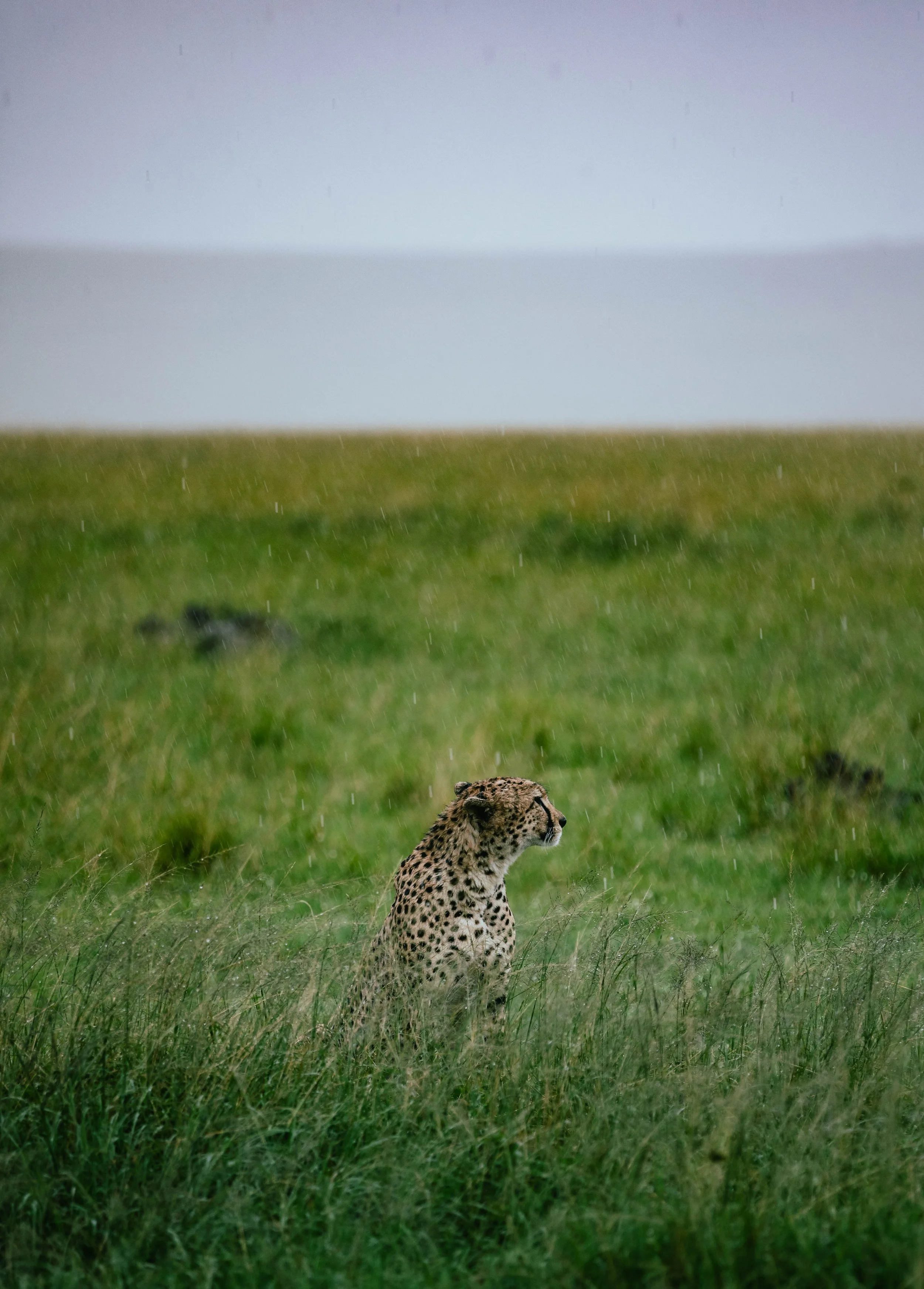 _11A0862-2.jpg