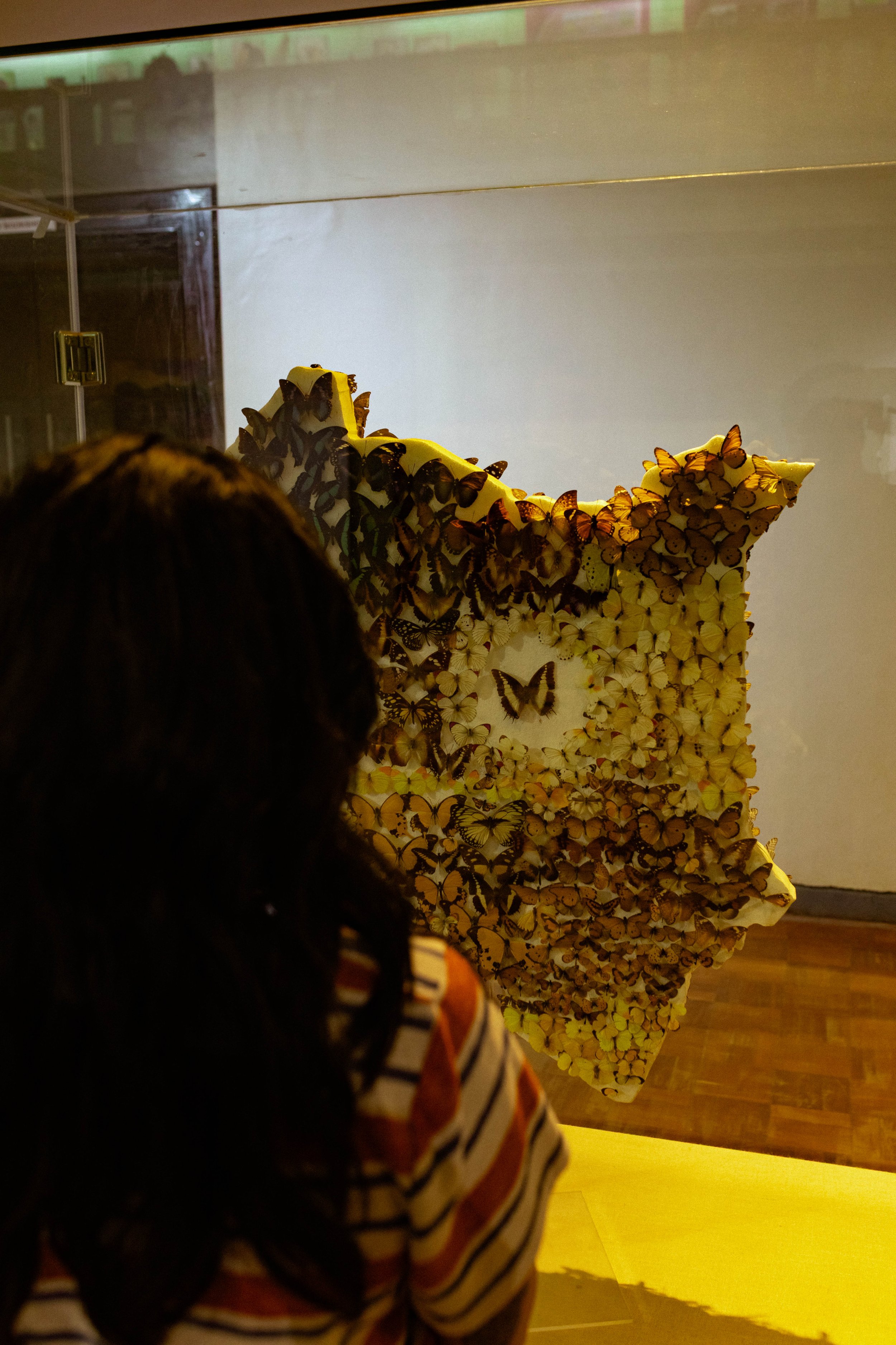 _11A0613.jpg