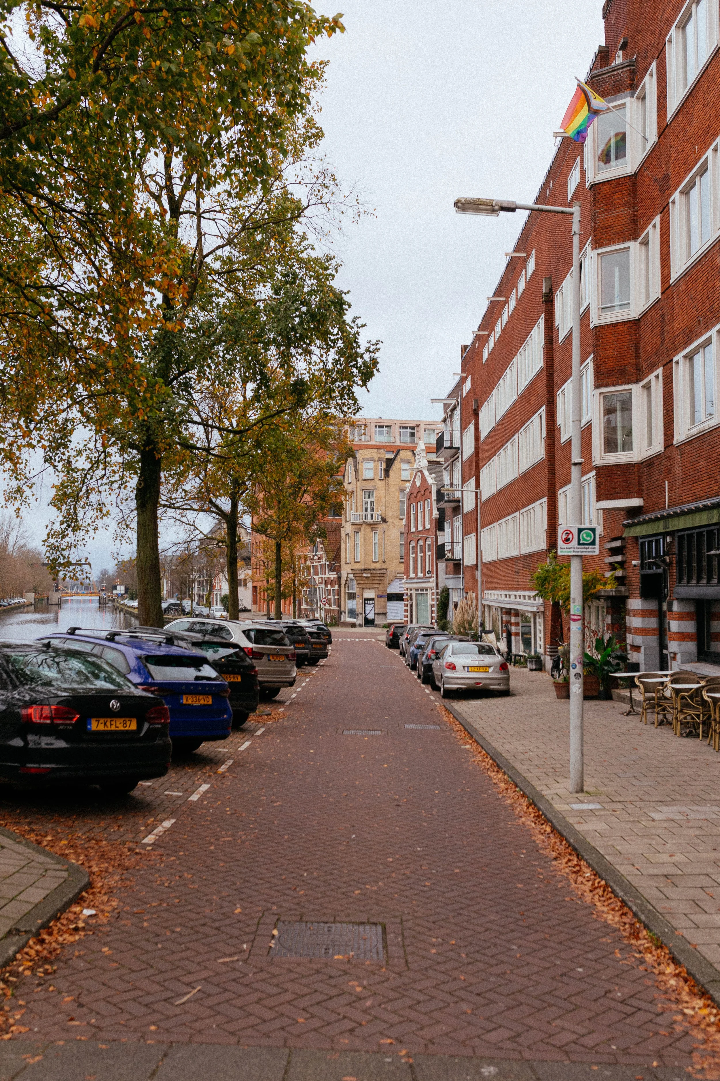 _11A9663-2.jpg